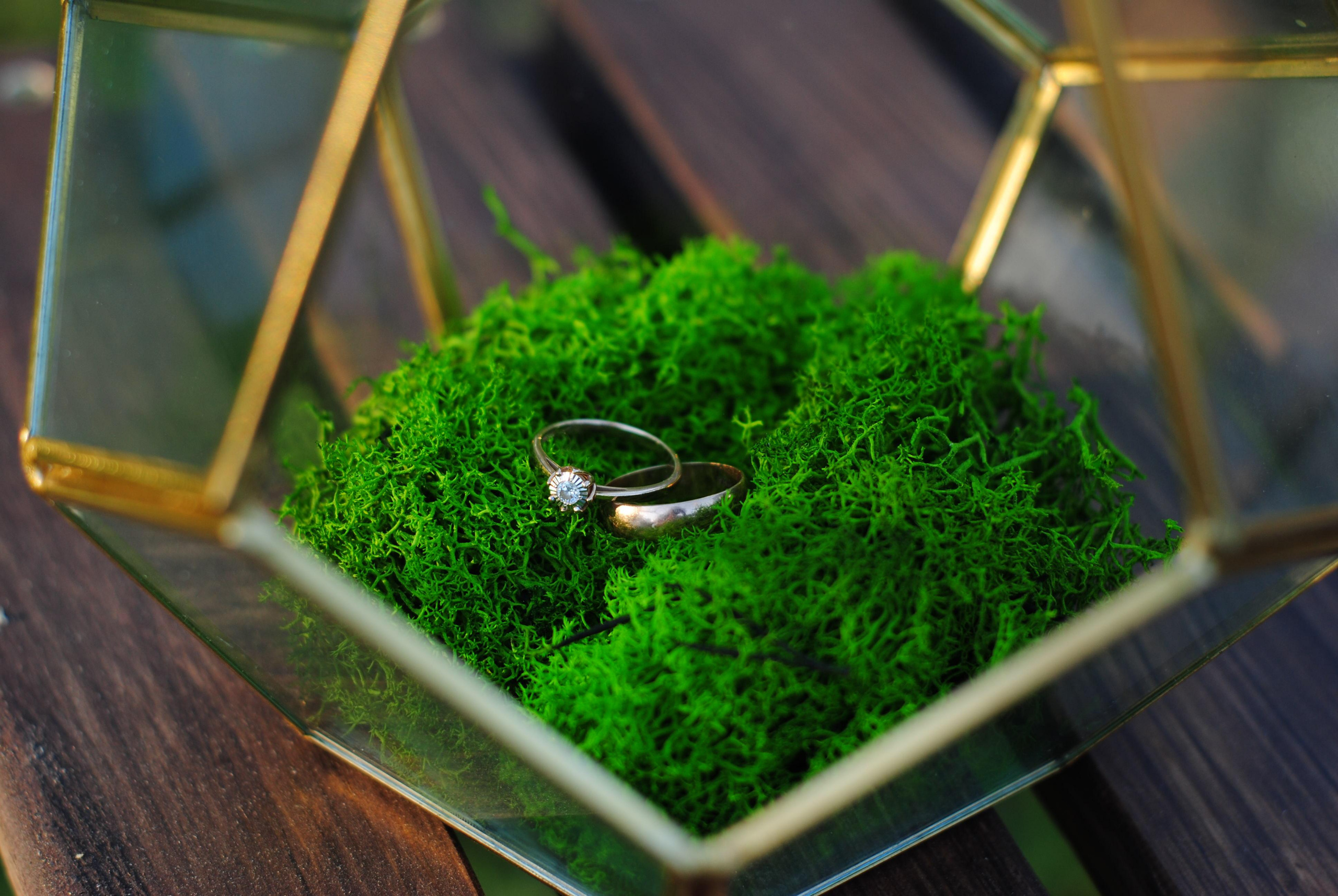 Свадьбы и lovestory. Фотограф Волгоград Ермолова Дарья