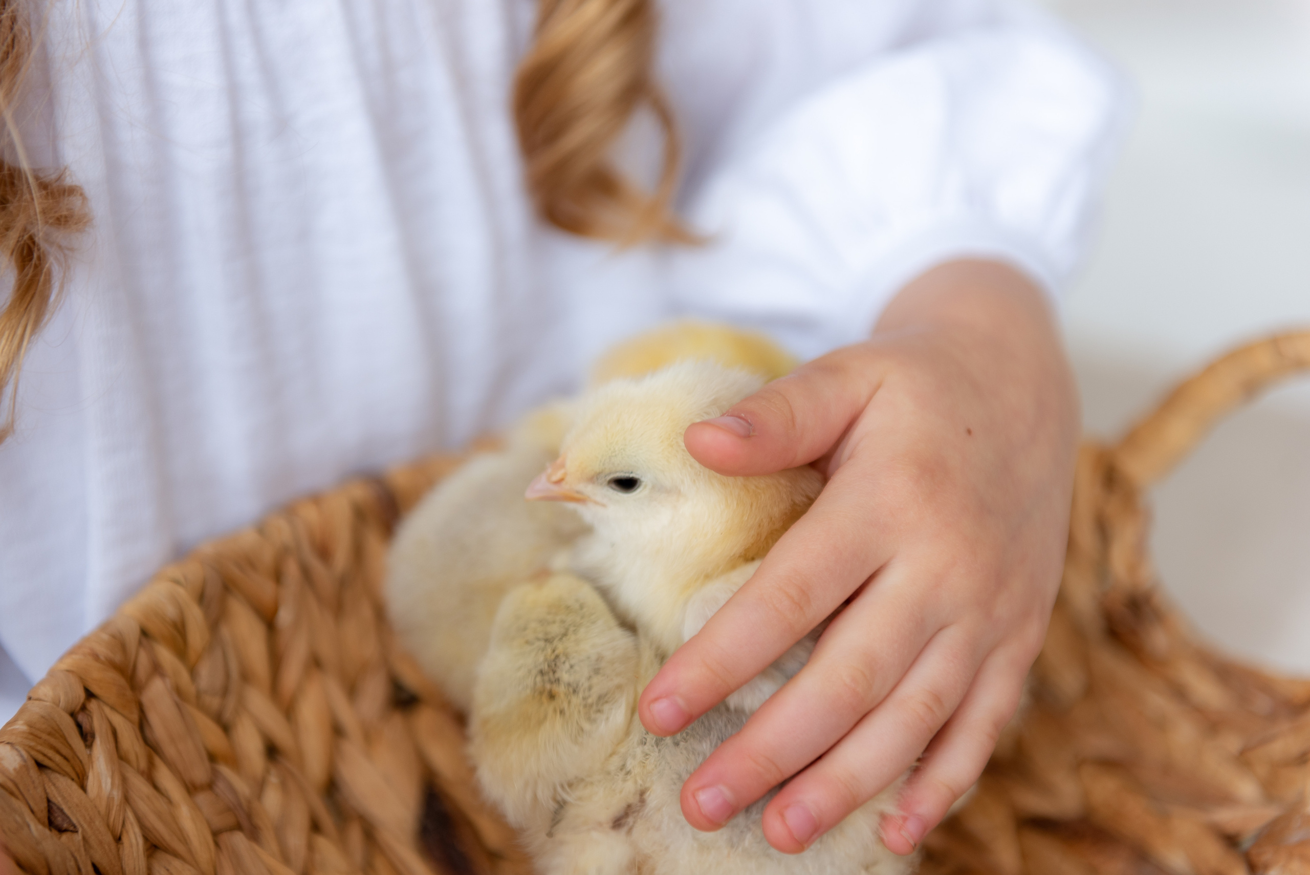 Семейные и детские съемки. Фотограф Волгоград Ермолова Дарья