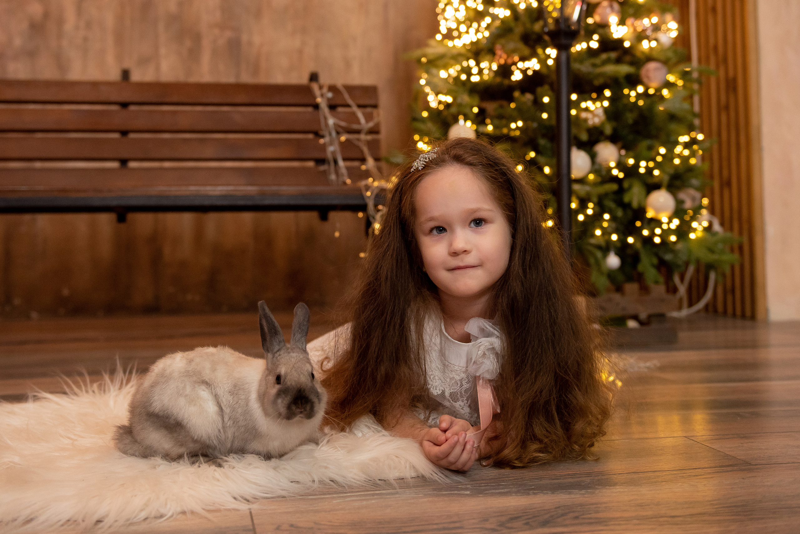 Новый год!!!. Фотограф Волгоград Ермолова Дарья