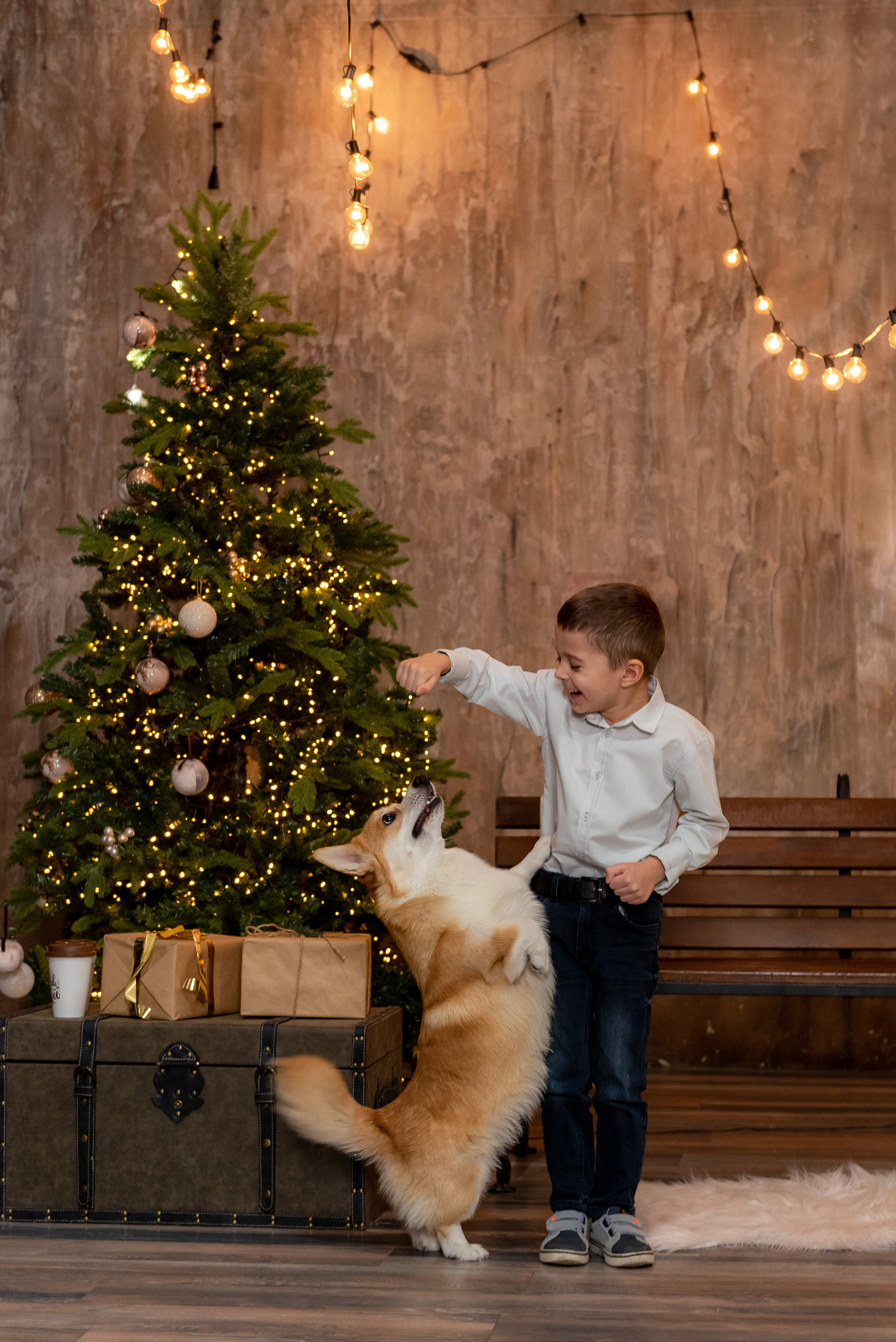 Новый год!!!. Фотограф Волгоград Ермолова Дарья