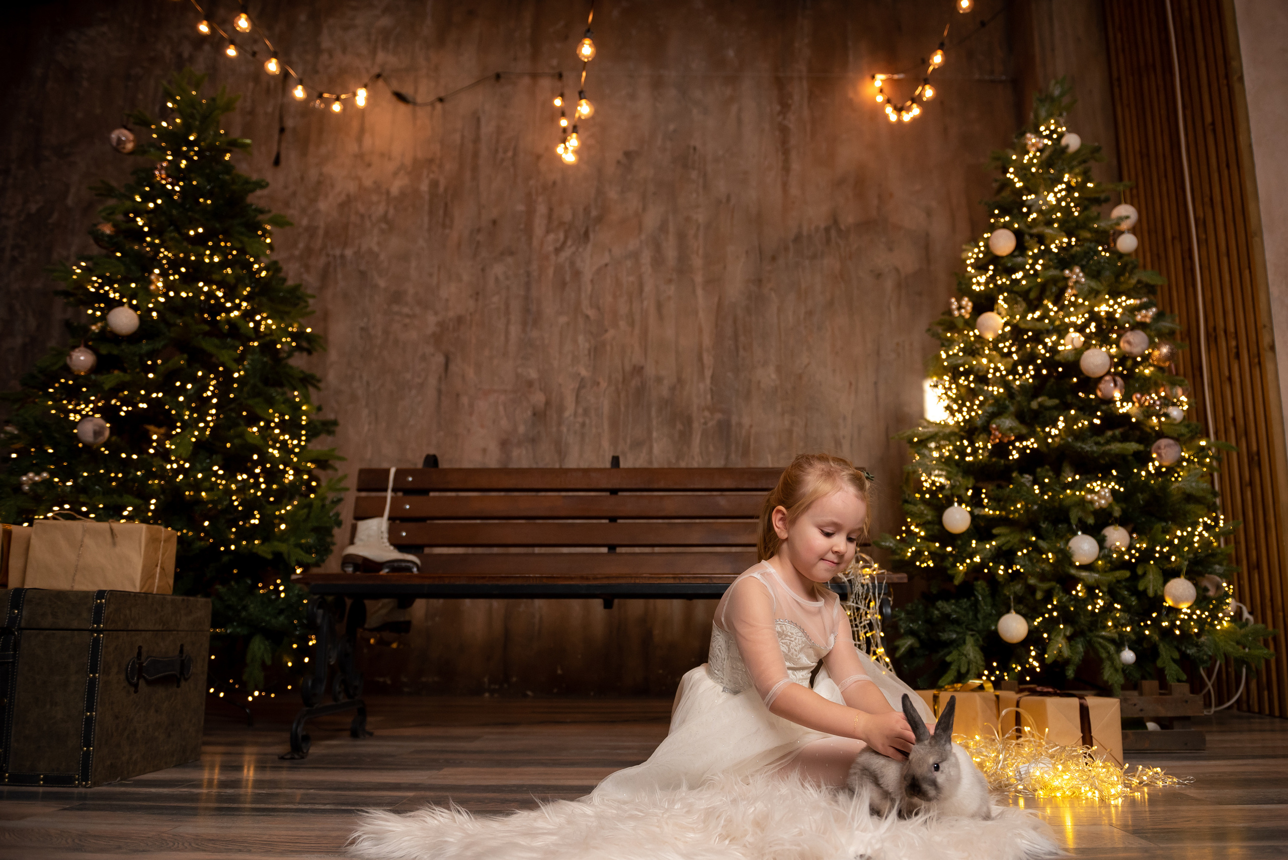 Новый год!!!. Фотограф Волгоград Ермолова Дарья