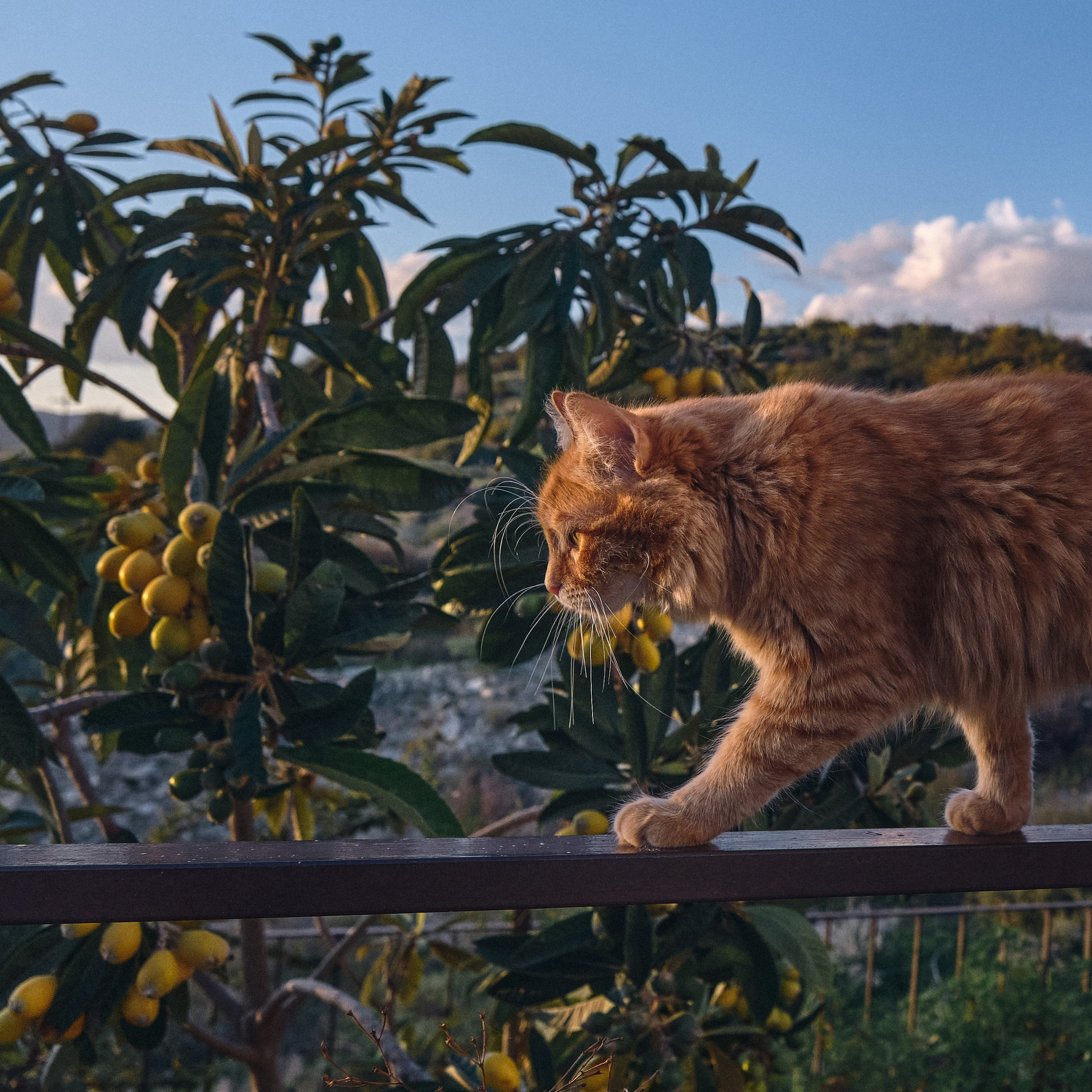 Cyprus 2024 / march. Aleksandr Kobtsev