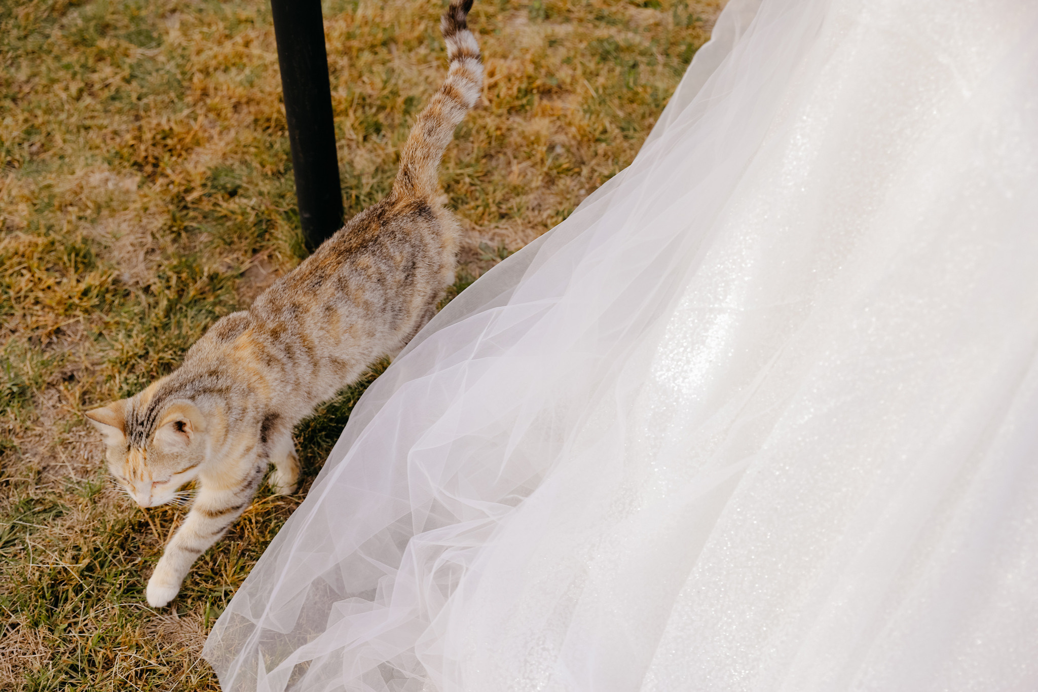 Осенняя свадебная фотосессия в санатории Красиво. Фотограф Белгород