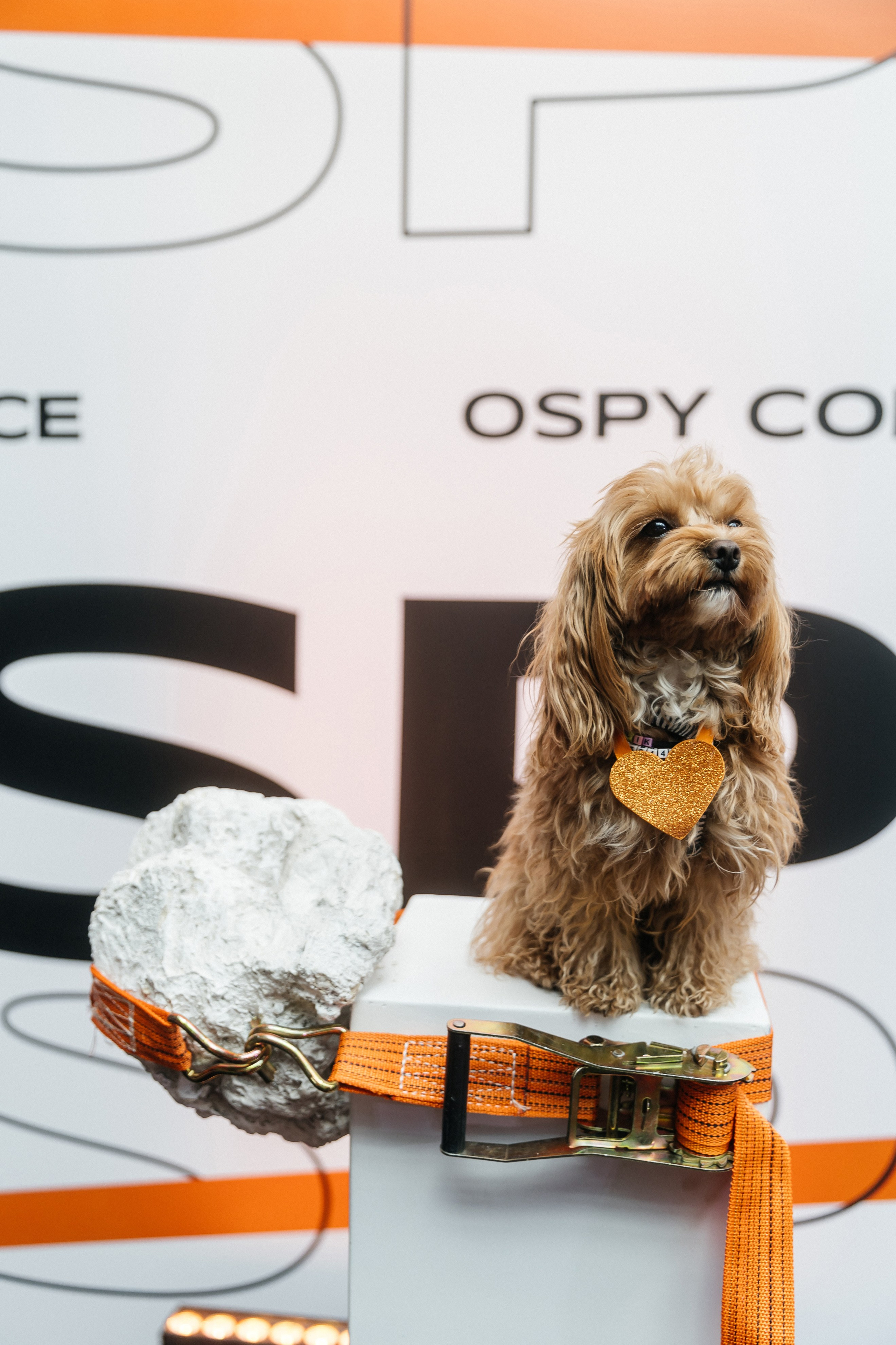 OSPY. Свадебный фотограф в Москве Николай Болт