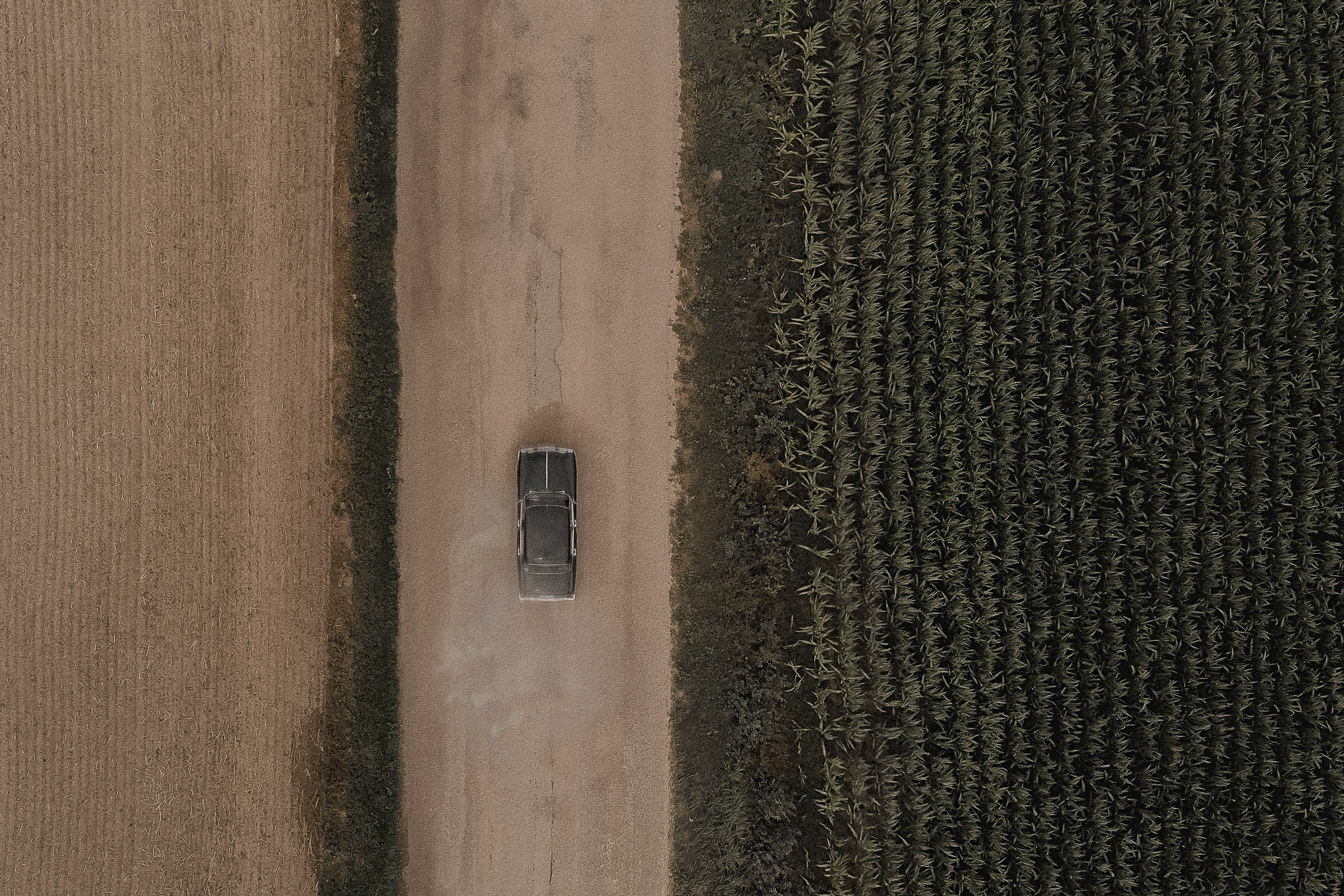 Serg + Anna. Фотограф/видеомейкер в Минске, Москве, Витебске, видеосьемка