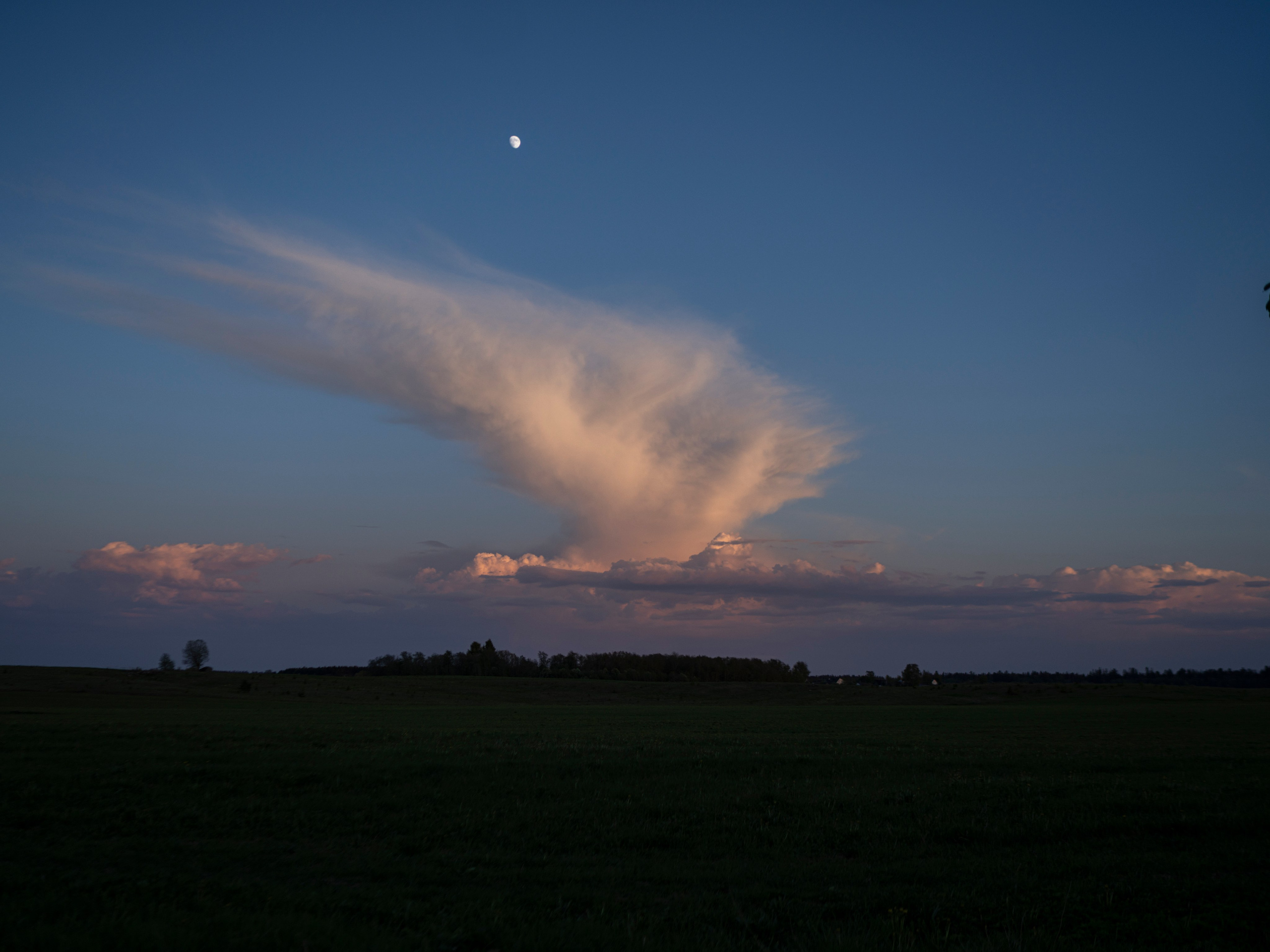 Природа и животные. Творческий фотограф Ирина Баландина.  Санкт-Петербург, Мурманск