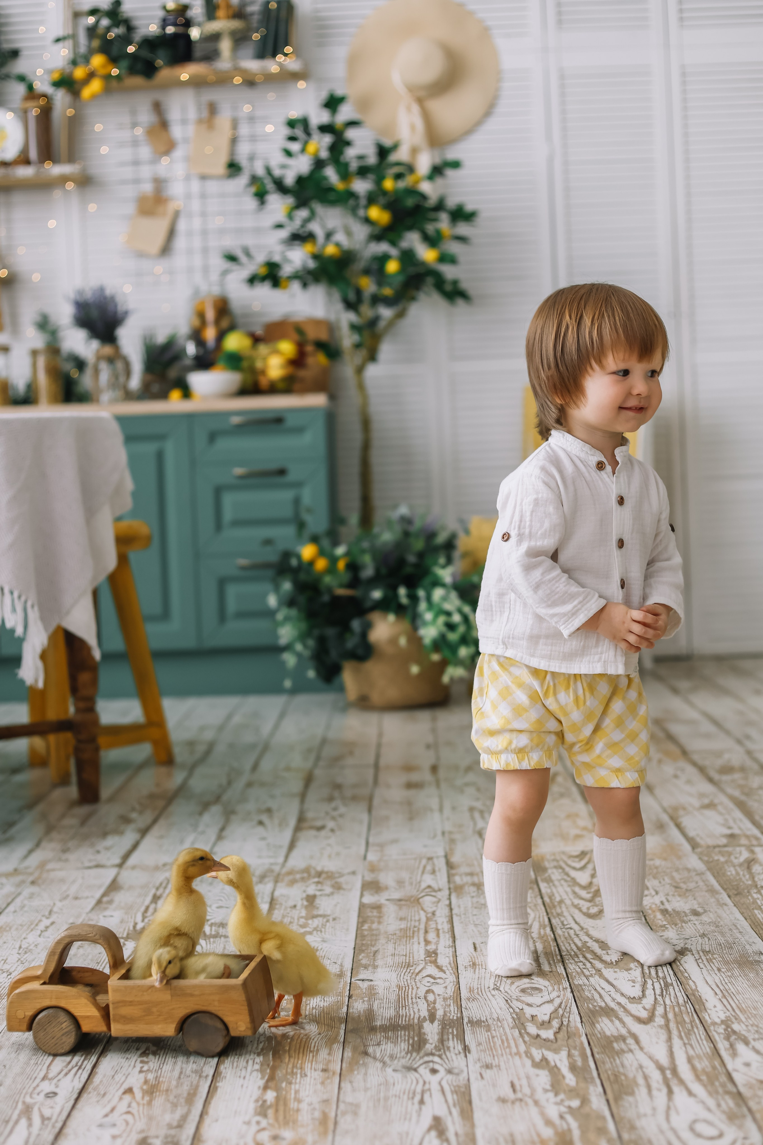 Утята. Фотограф и видеограф Анна Домашенко