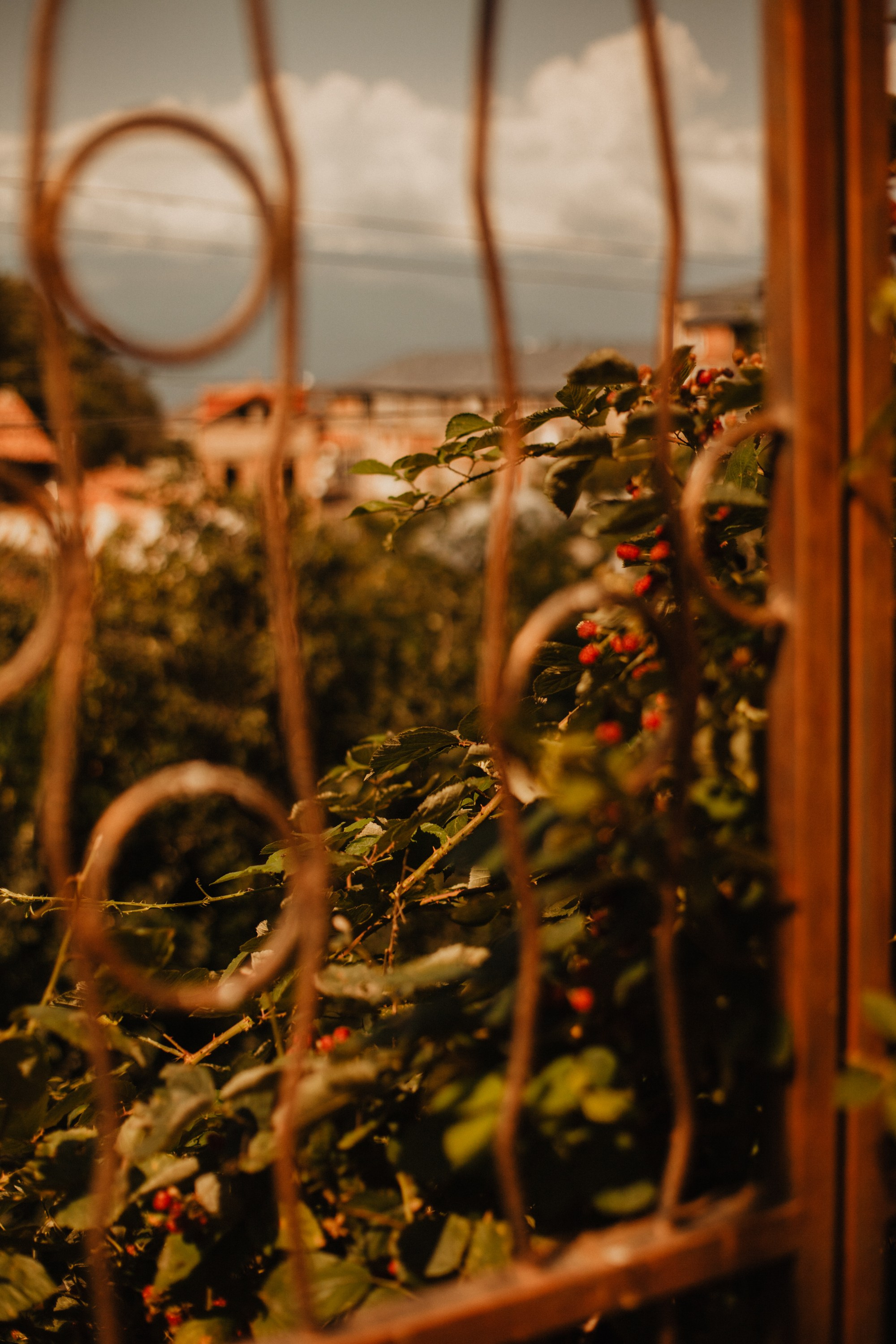 Грузинские каникулы. Violetta Skripka