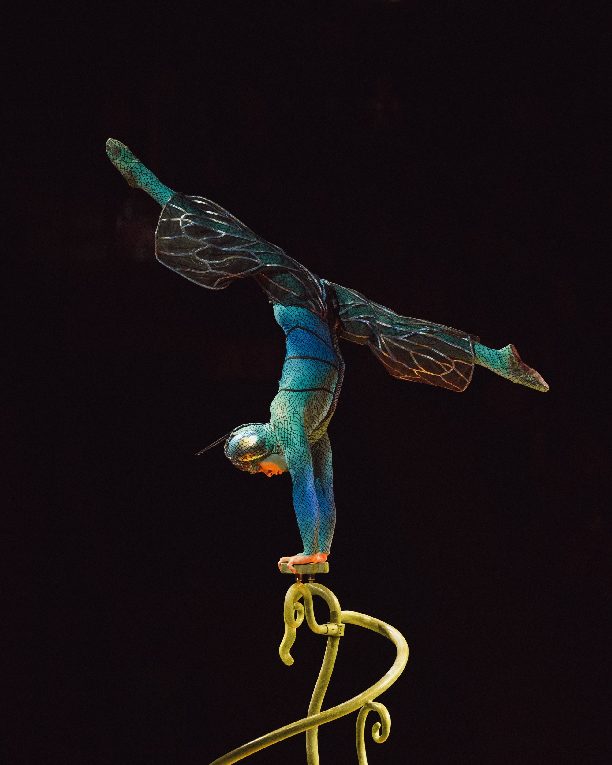 Cirque du Soleil. Портретный и репортажный фотограф Артём Бояров