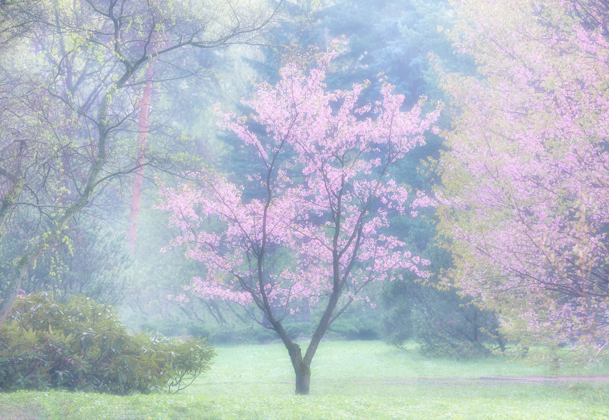 Volkovart.ru forest landscapes. Volkovart.online nature photography