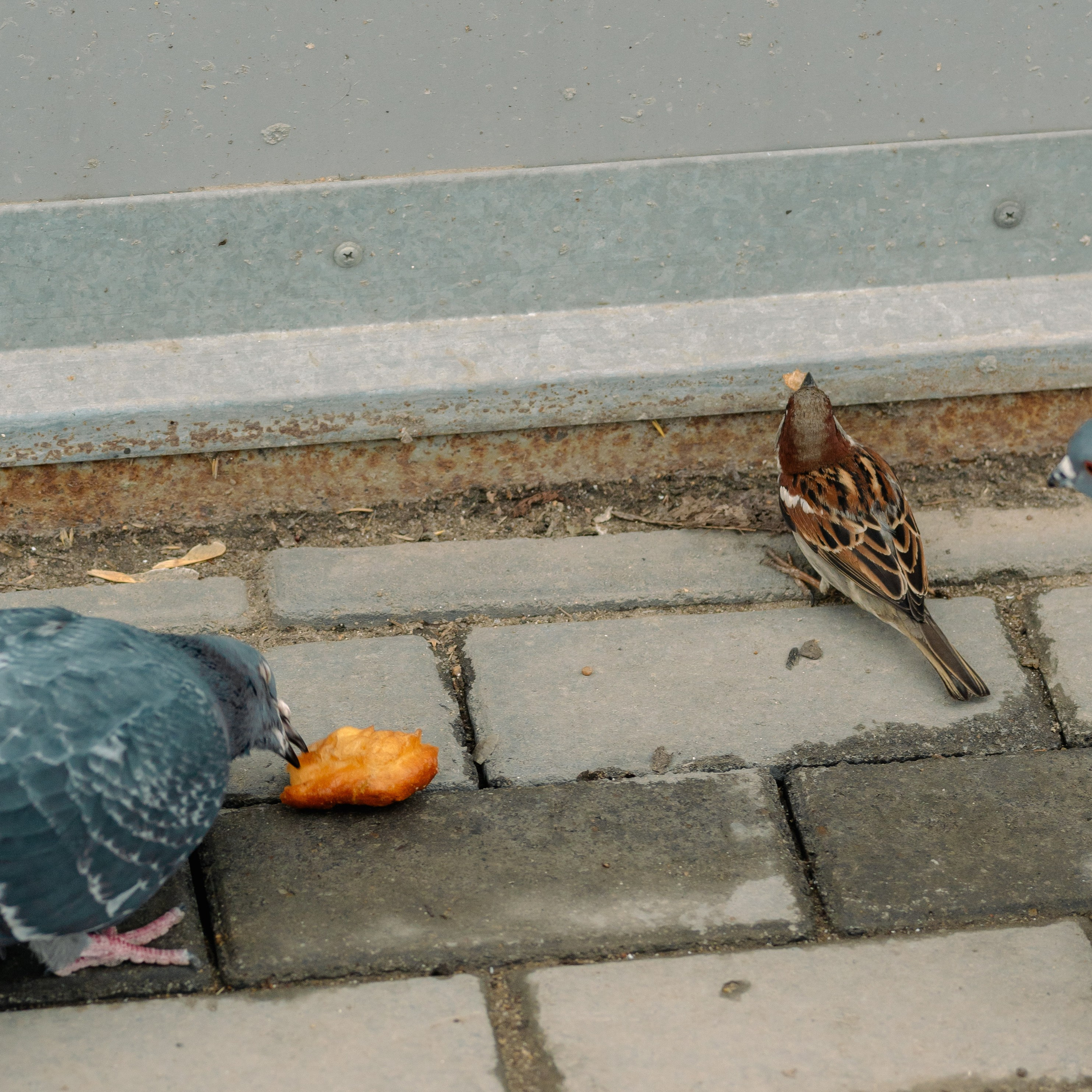 Омск, Май 2024