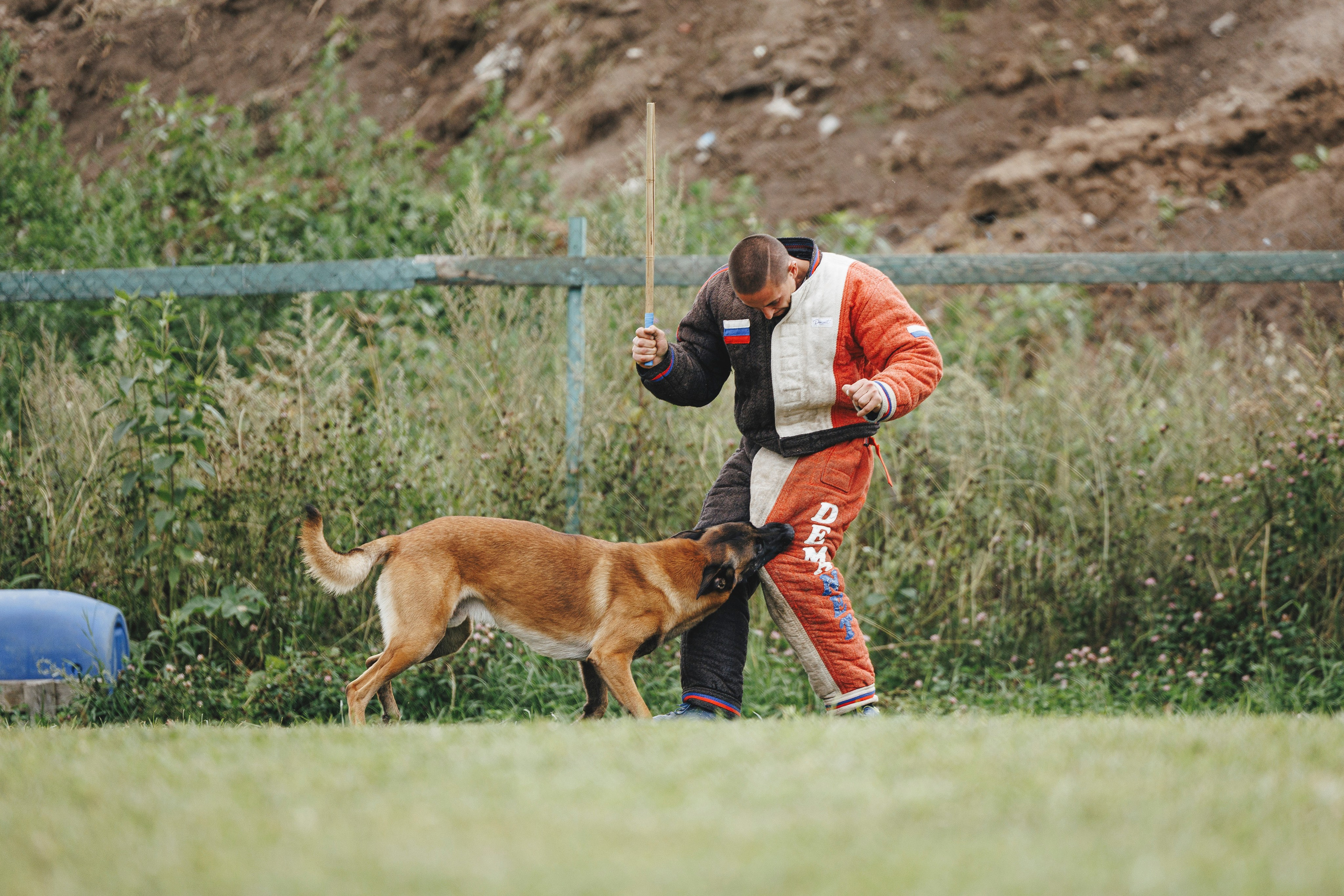 08.08.25-10.08.25 ЧР по мондьорингу г. Вологда. Фотограф-анималист Анна Маринич