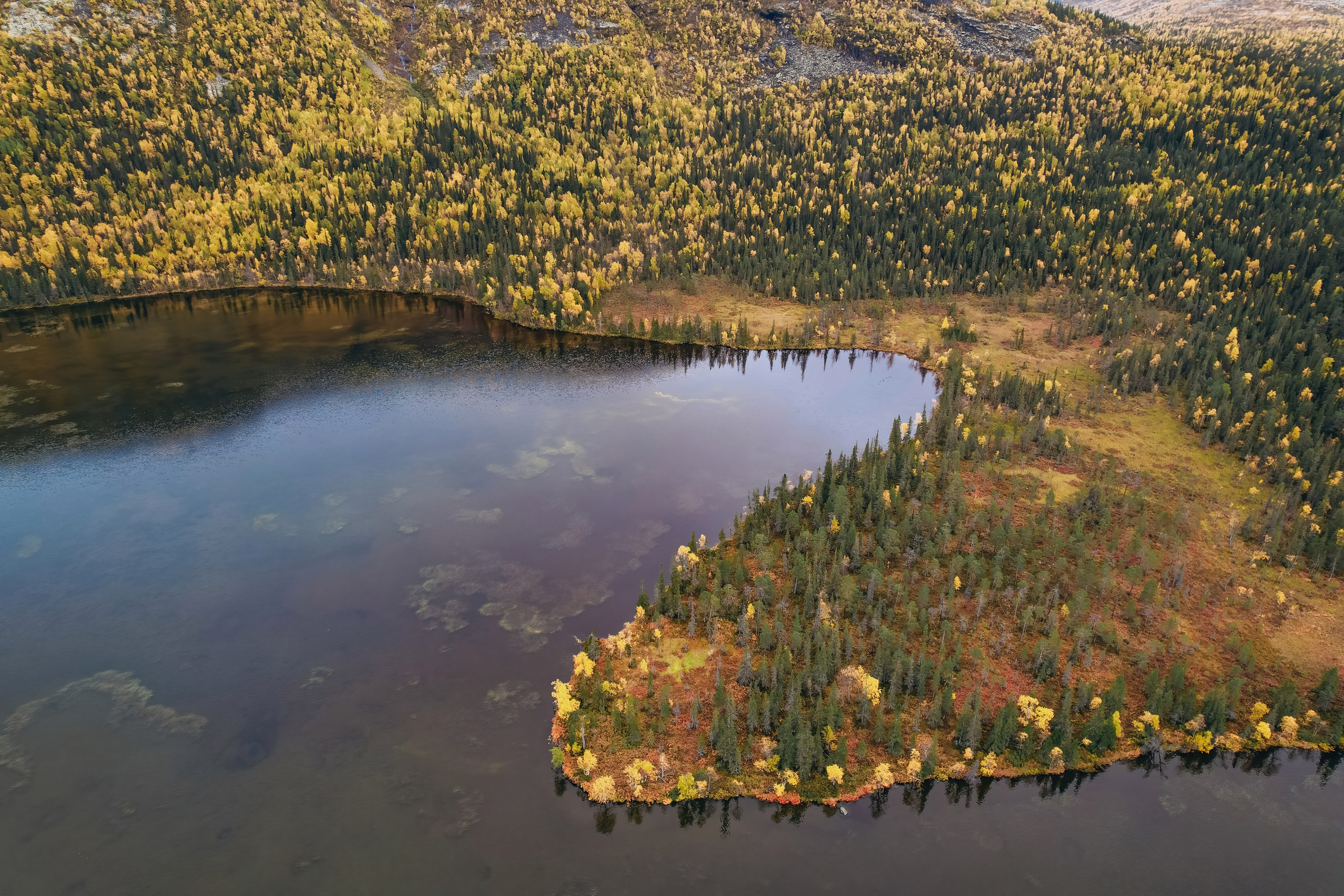 СЕВЕР. Event фотограф Степанова Александра