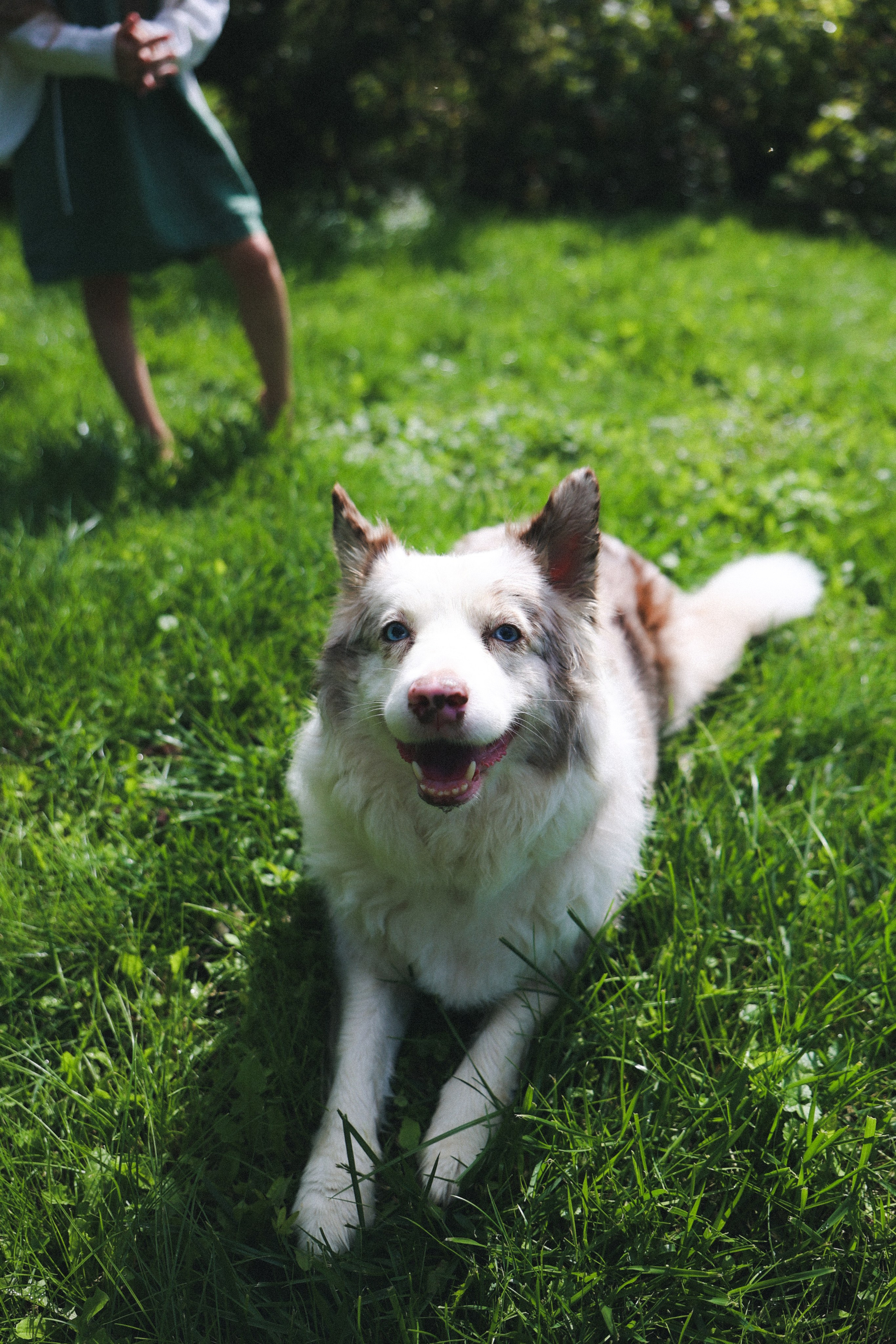 Мокрые девчонки. Фотограф НатаФото (Наталья Яковенко) Дмитров Москва Питер