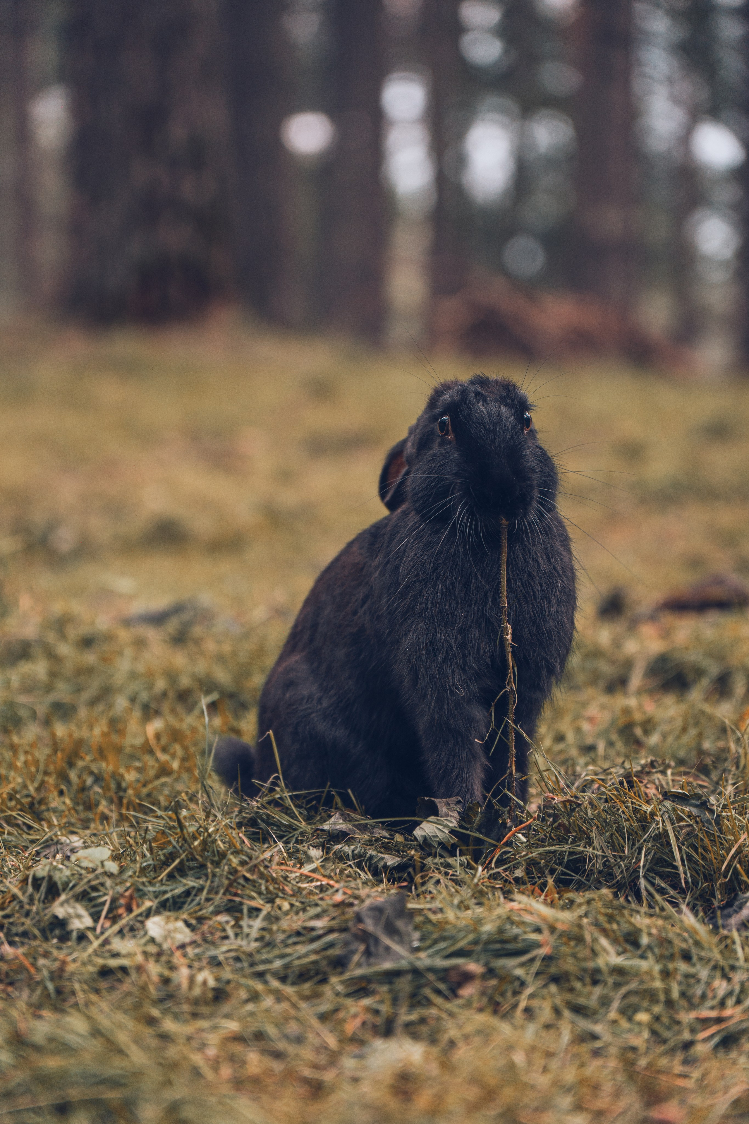 Алтай. Gusarov Travel Photography