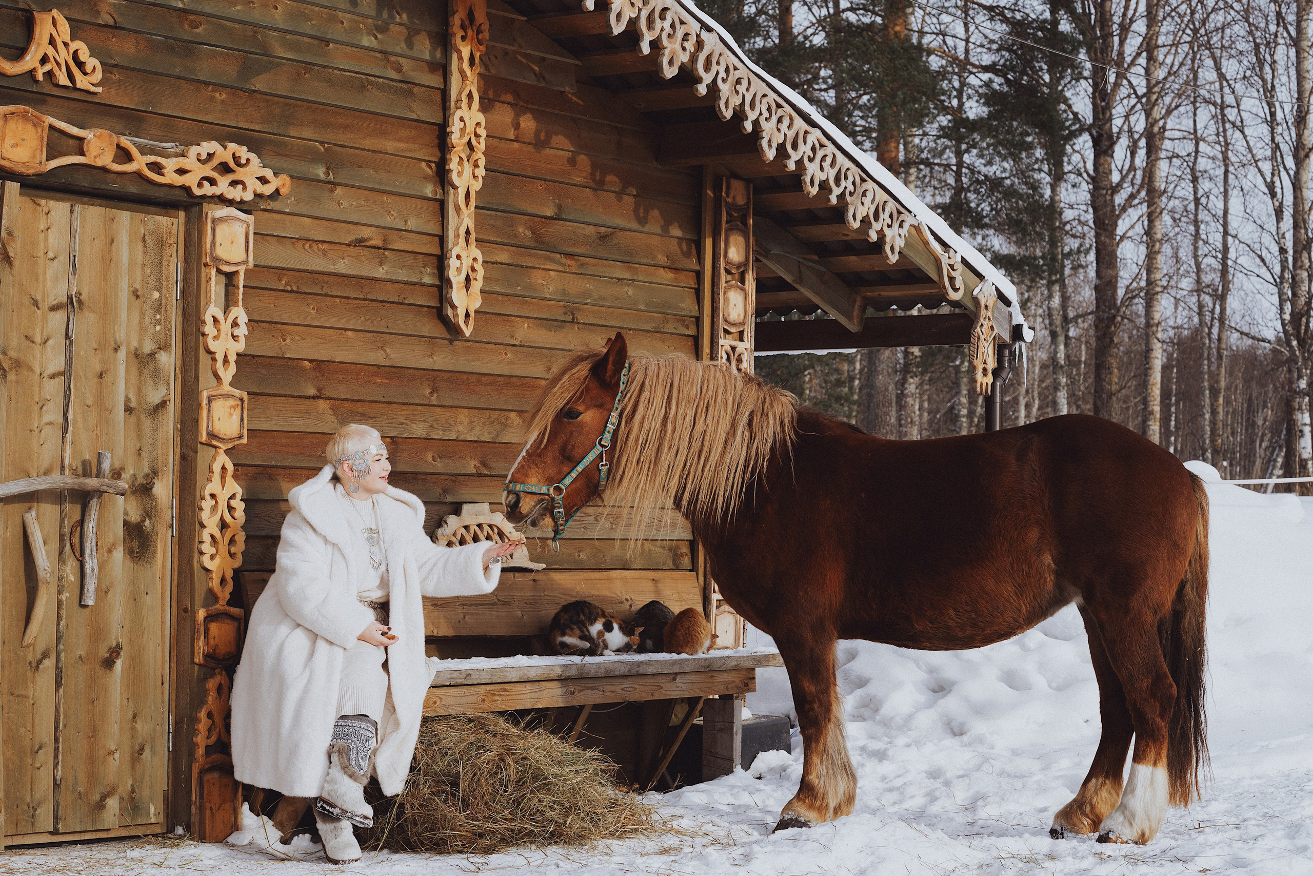 Конные. Фотограф Сибирика (Ирина Кузнецова), Санкт-Петербург и ЛО — портреты, свадьбы и семейные съемки. Творческий подход и качественные фото