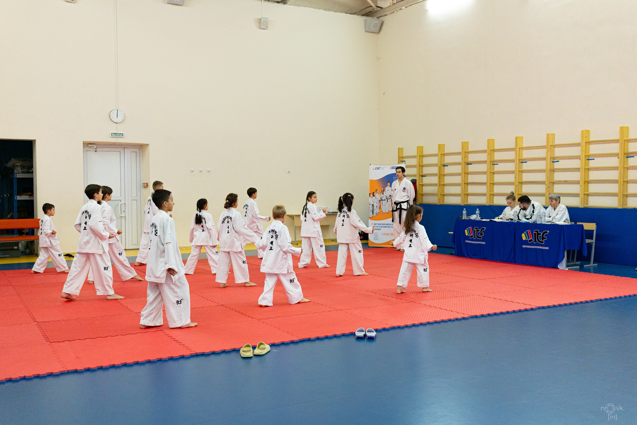 Аттестация Тхэкво. ФОТОГРАФ ИВАН НОВИКОВ | СТАВРОПОЛЬ