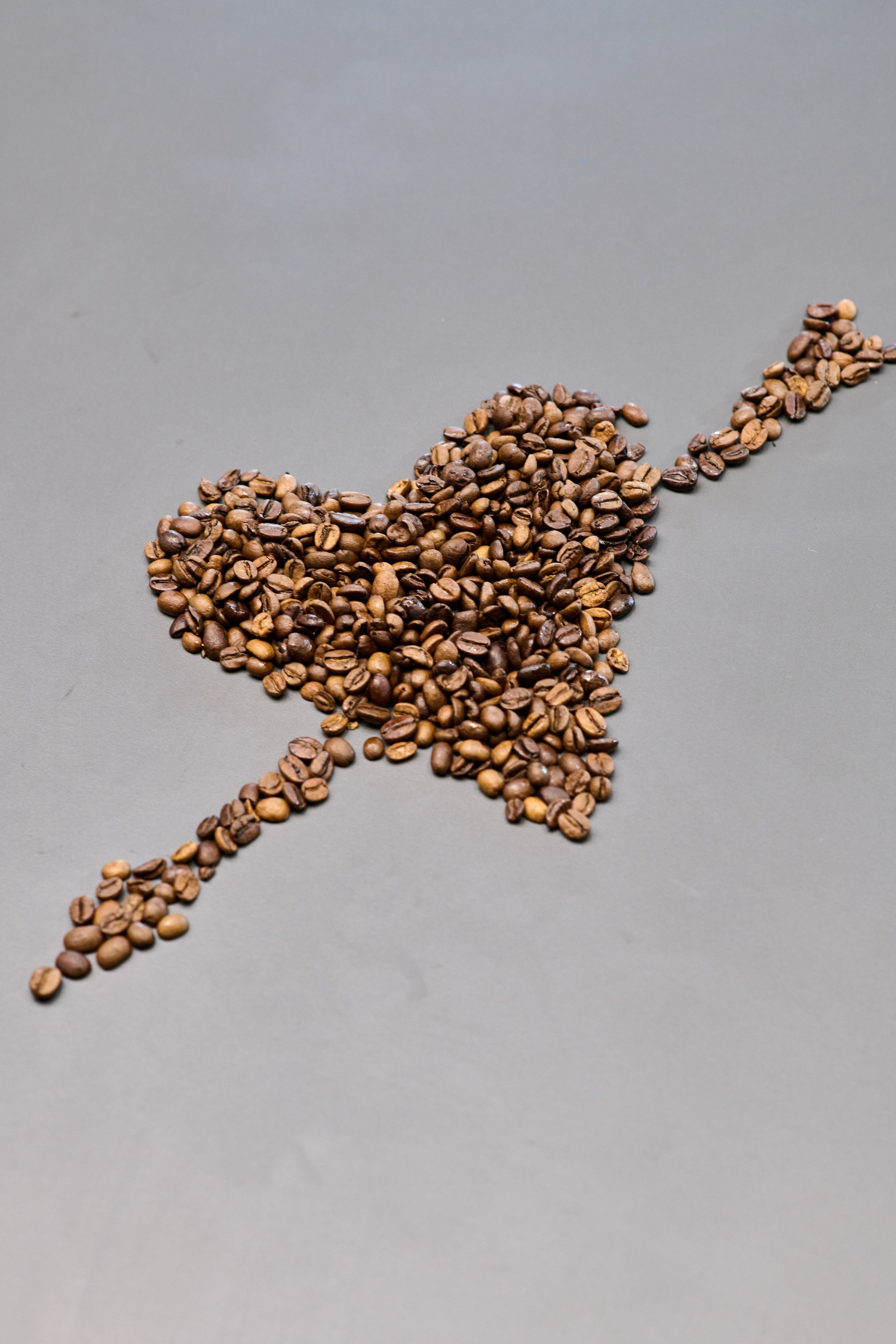 Кофейня. Главная