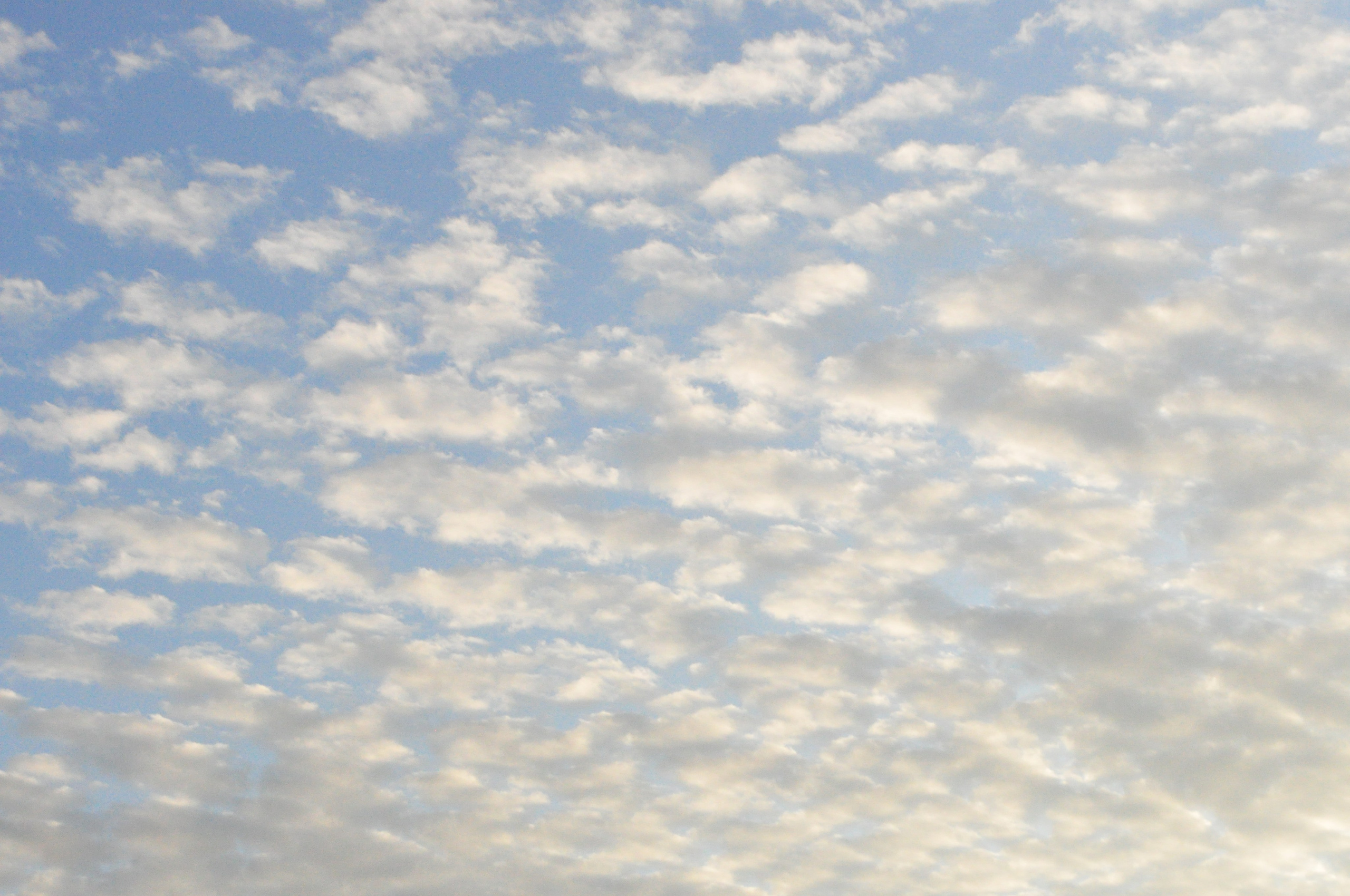 Август. Семейный, Свадебный фотограф СПБ Питер— Романова Екатерина