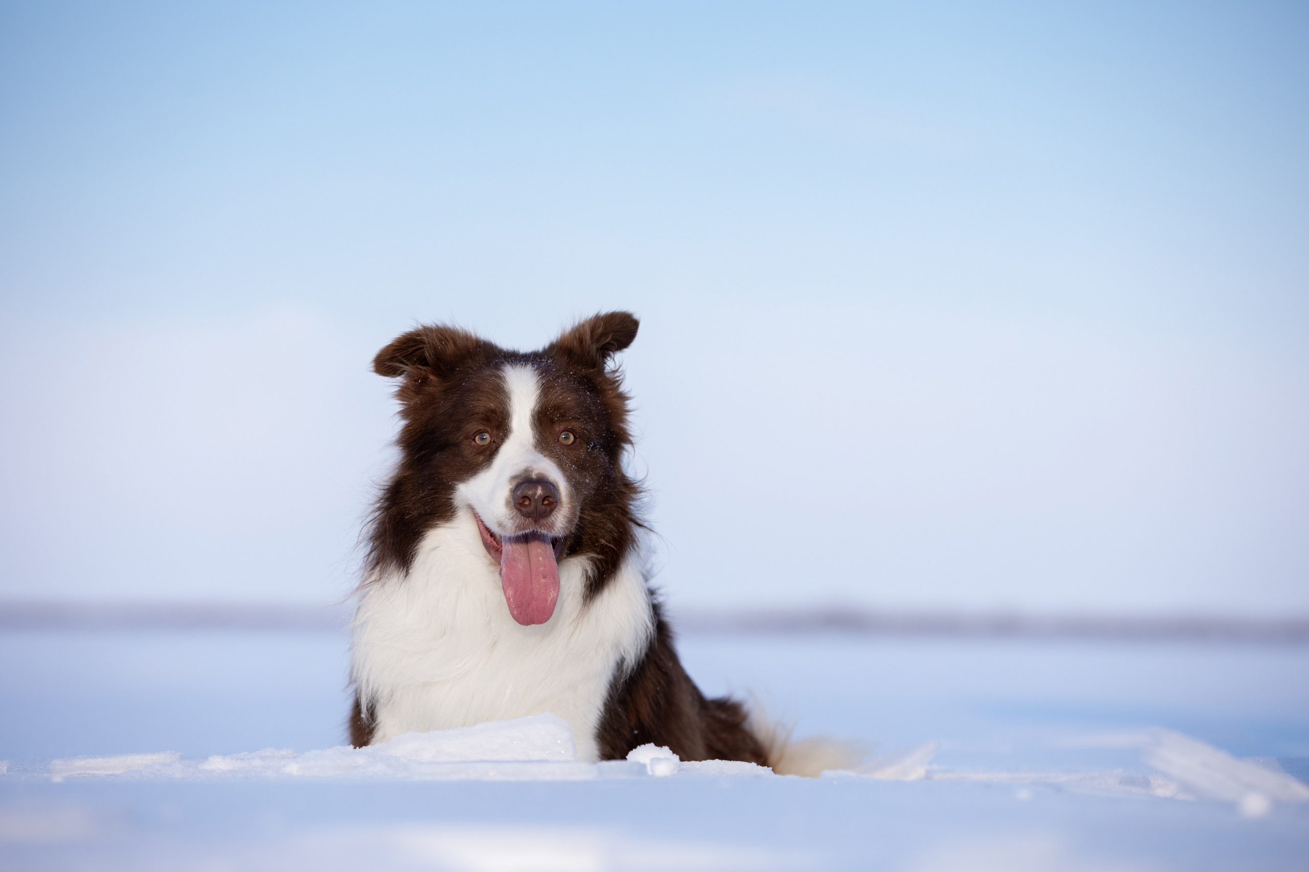 Мороз и солнце. О нас