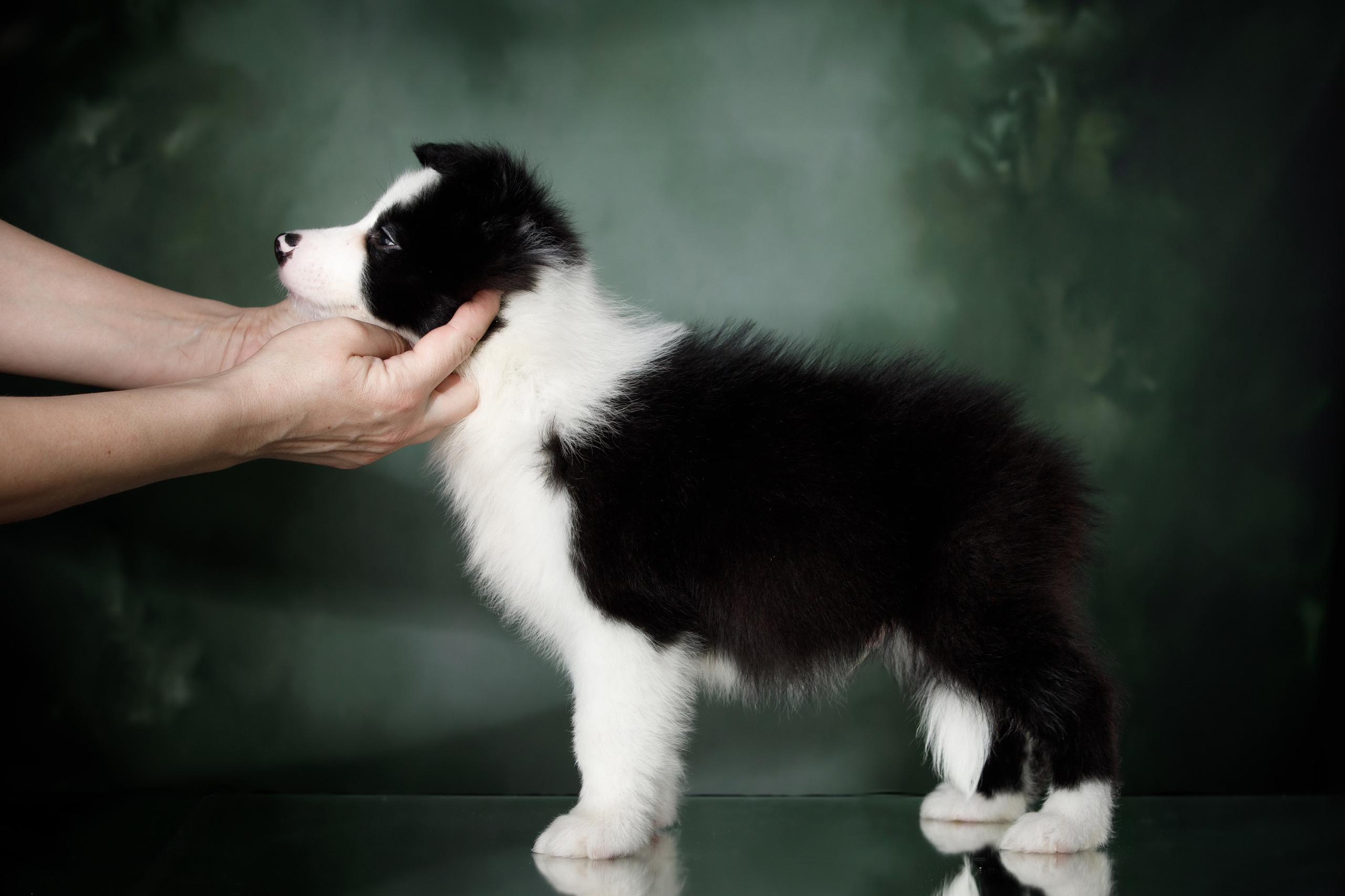 Март. Весна. 22. О нас