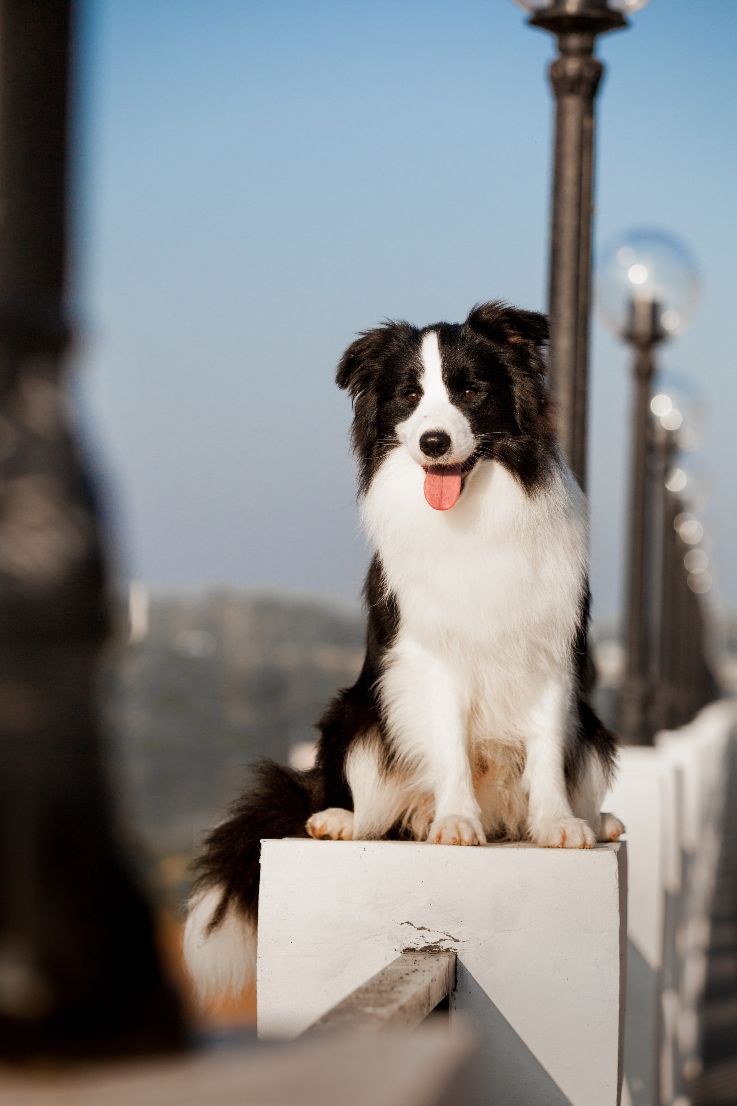 Сочный рассвет, на который решились. О нас