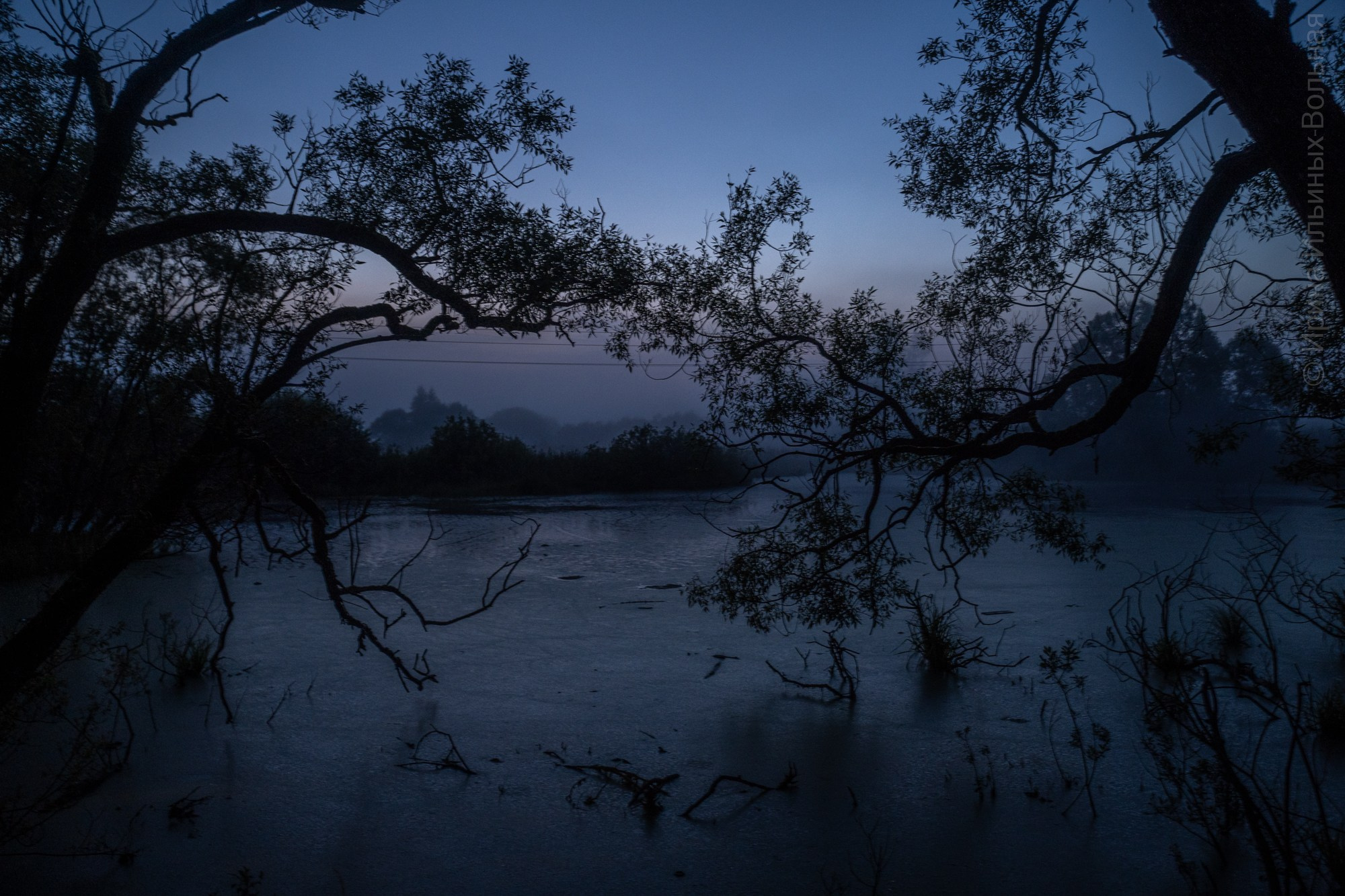 Фотокартины. Семейный фотограф Ирина Ильиных-Вольная в Москве и не только