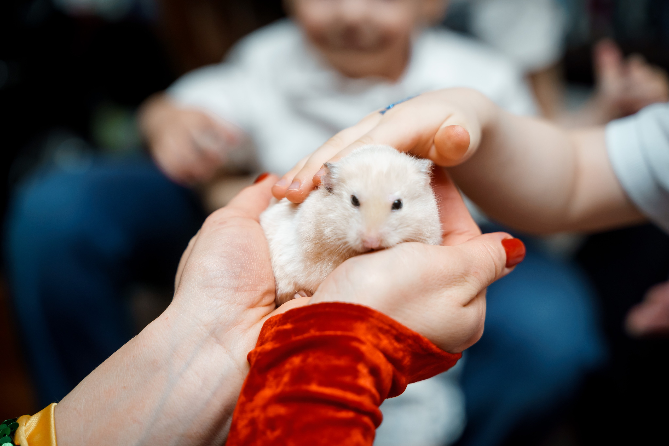 Детские праздники. Фотограф и видеограф в Москве и Московской области Мария Вишня