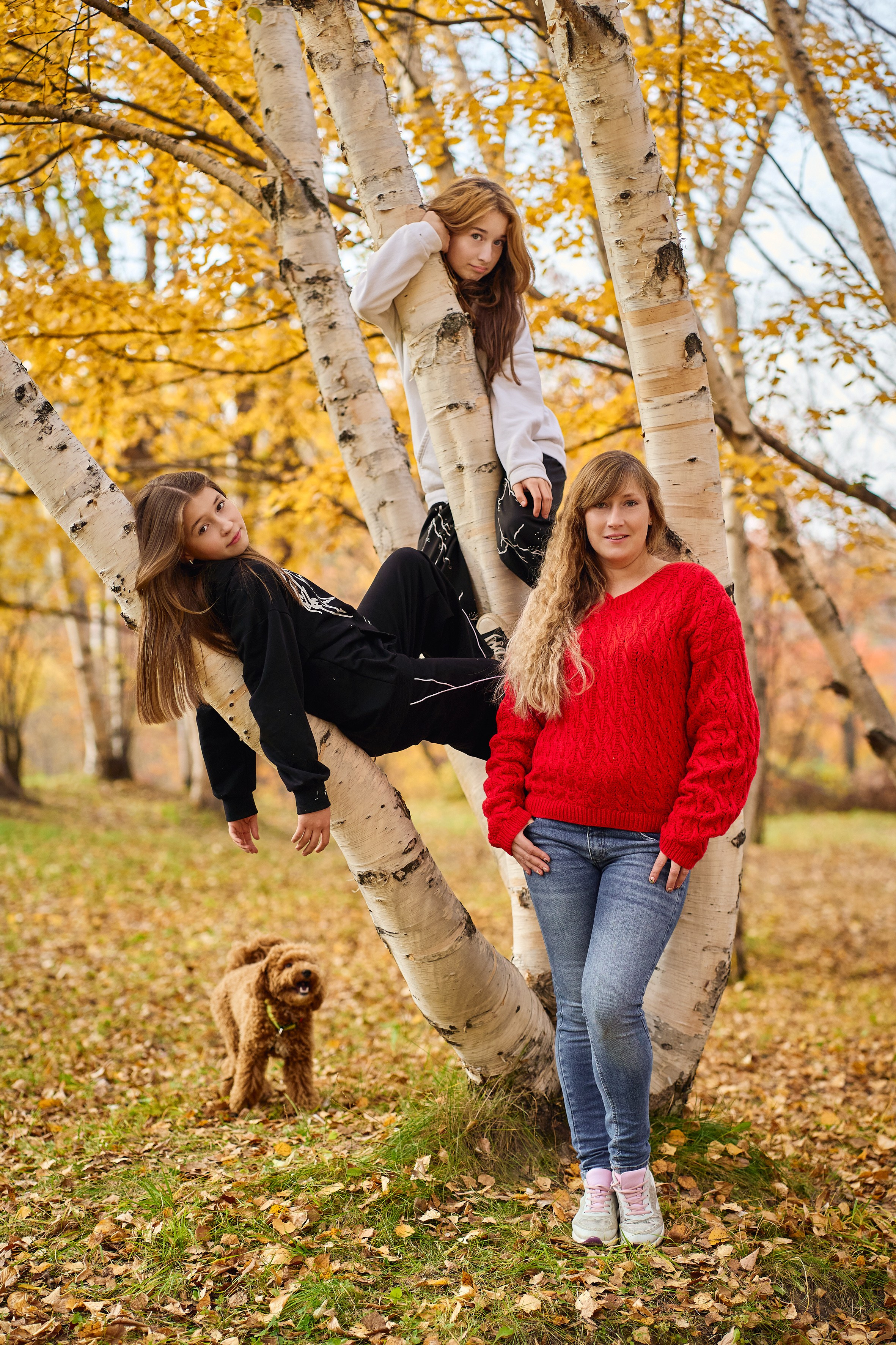 В осеннем парке. Репортажный и портретный фотограф в Томске Ларионов Артём