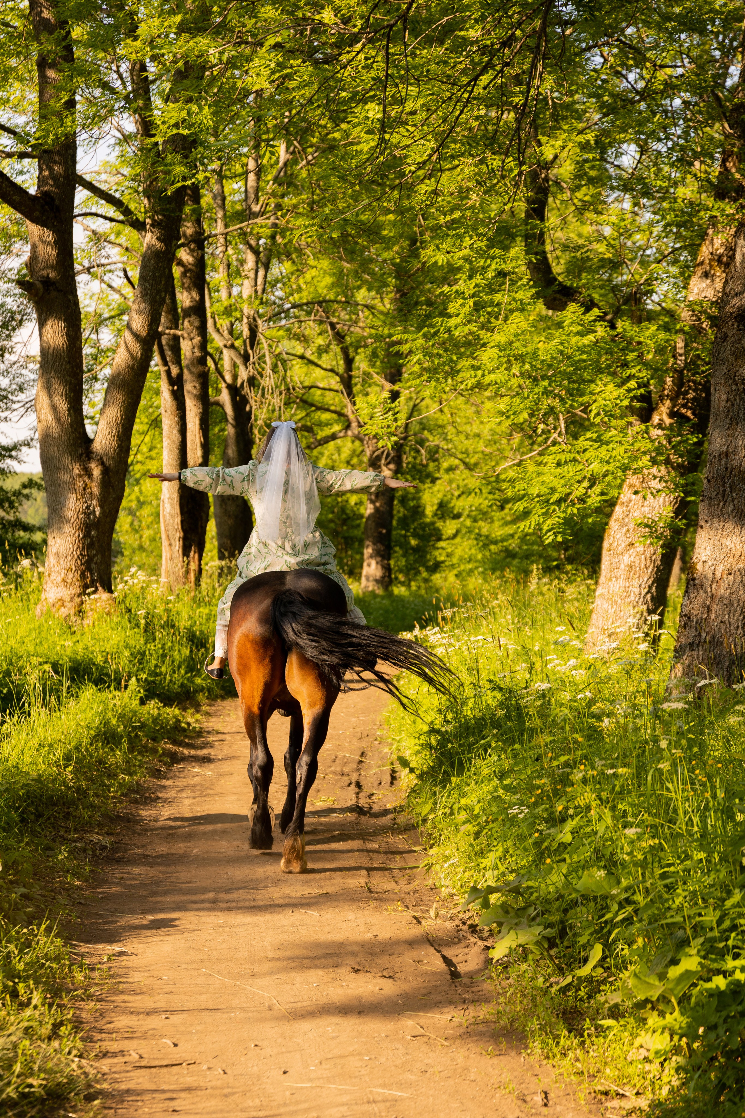 Фотопрогулка на лошадях. Семейный и свадебный фотограф в Санкт-Петербурге Татьяна Швыкова