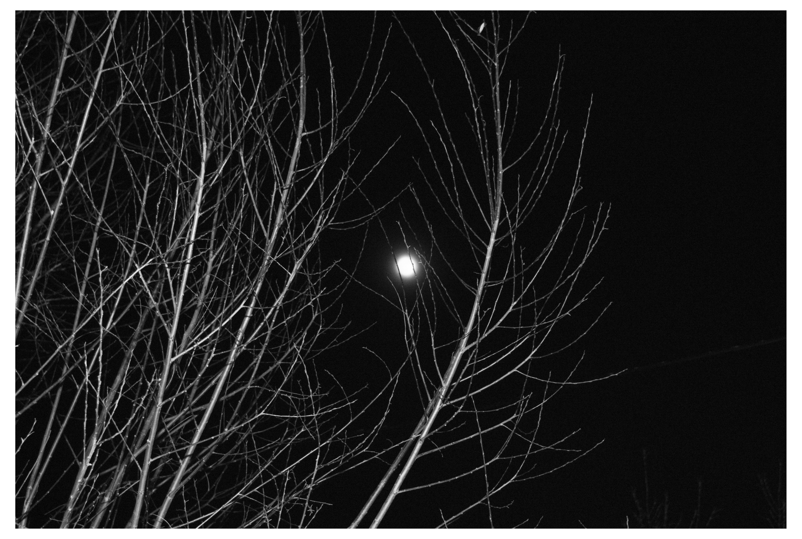 ДЕРЕВНЯ. Фотограф Манакова Ольга