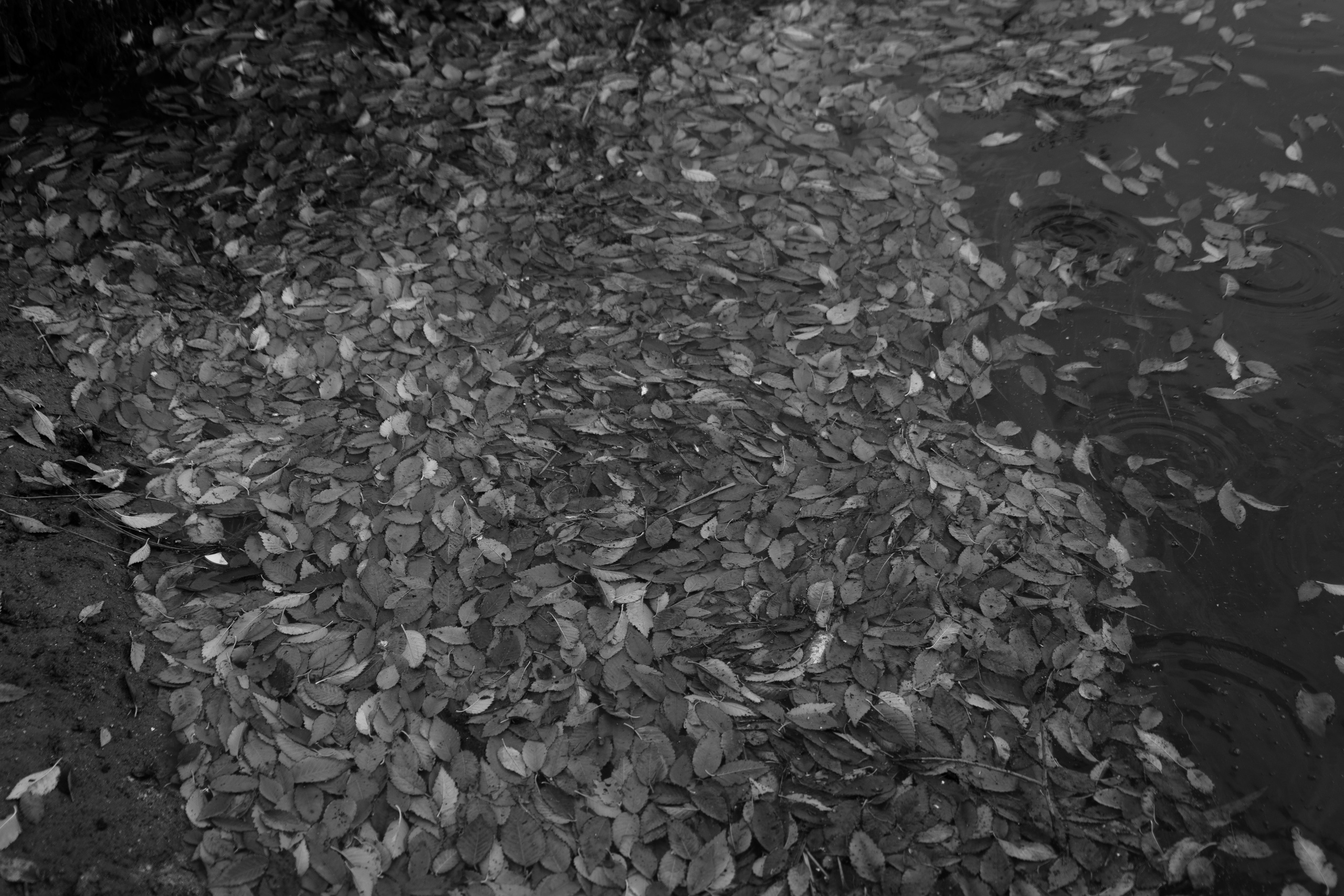 Бекстейдж сьемки кино. Профессиональная съемка в Алматы