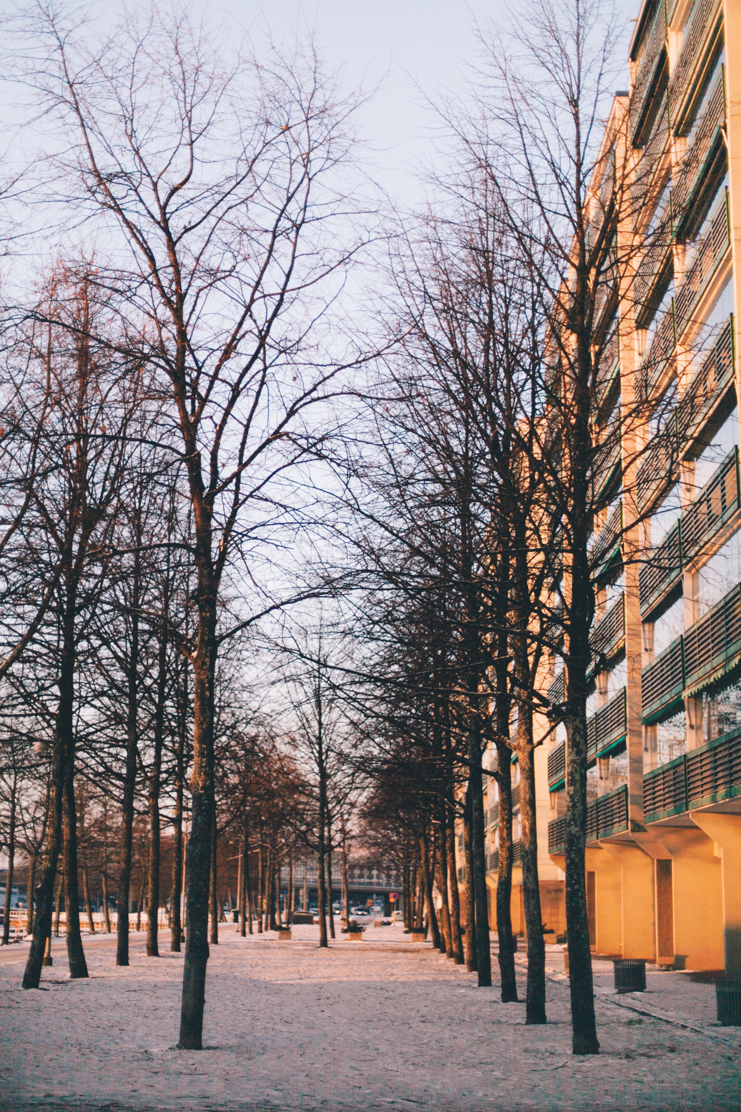 Хельсинки. Аня Степанова