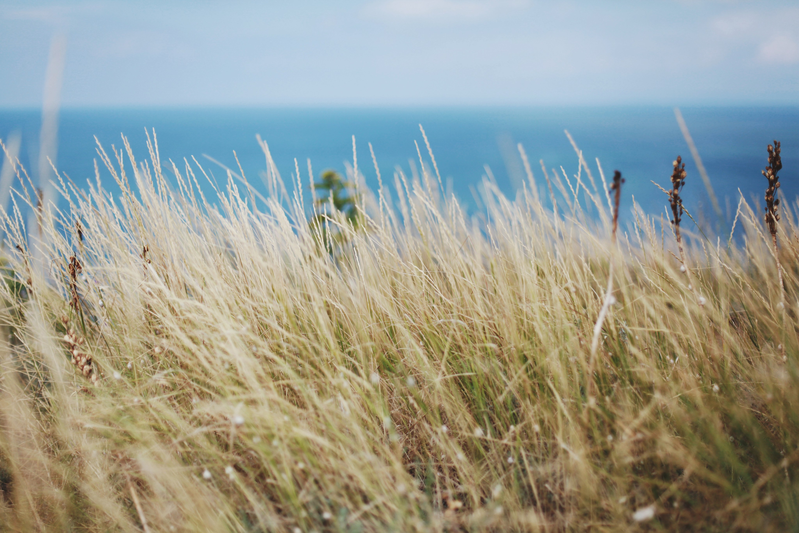 Болгария. Аня Степанова