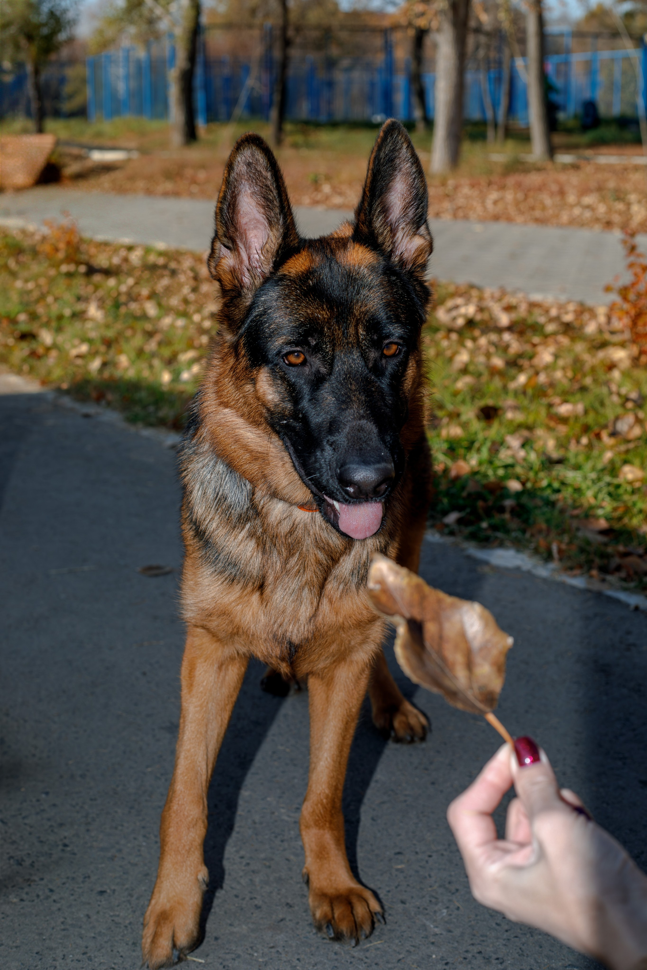Ди и Джема. Фотограф Екатерина Козловская