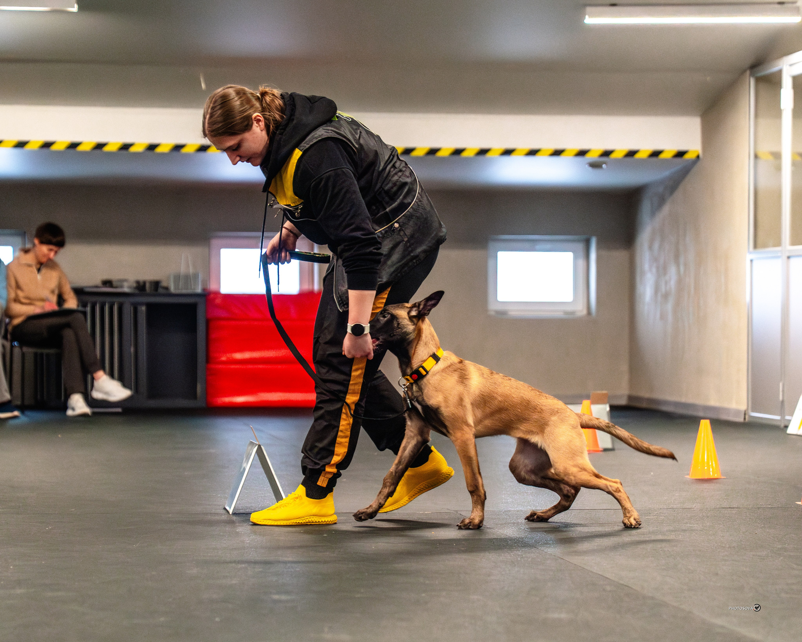 ТЫ И Я (соревнования по ралли-обидиенс). Фотограф-анималист, семейный фотограф в Москве и Подмосковье. Фотосъёмка кинологических дисциплин
