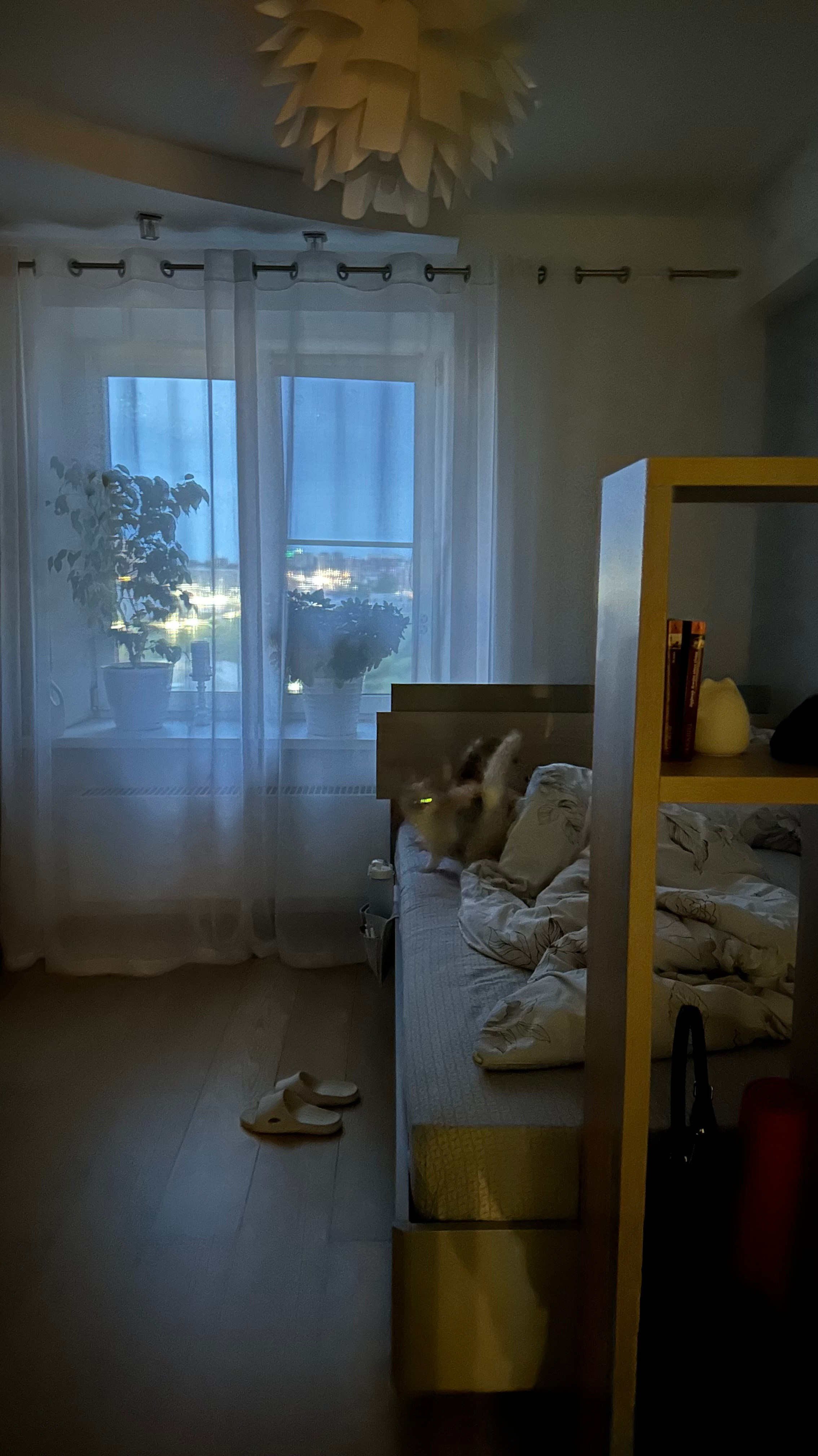 2024. Тащилин Сергей. Фотографии. Жизнь. Хобби