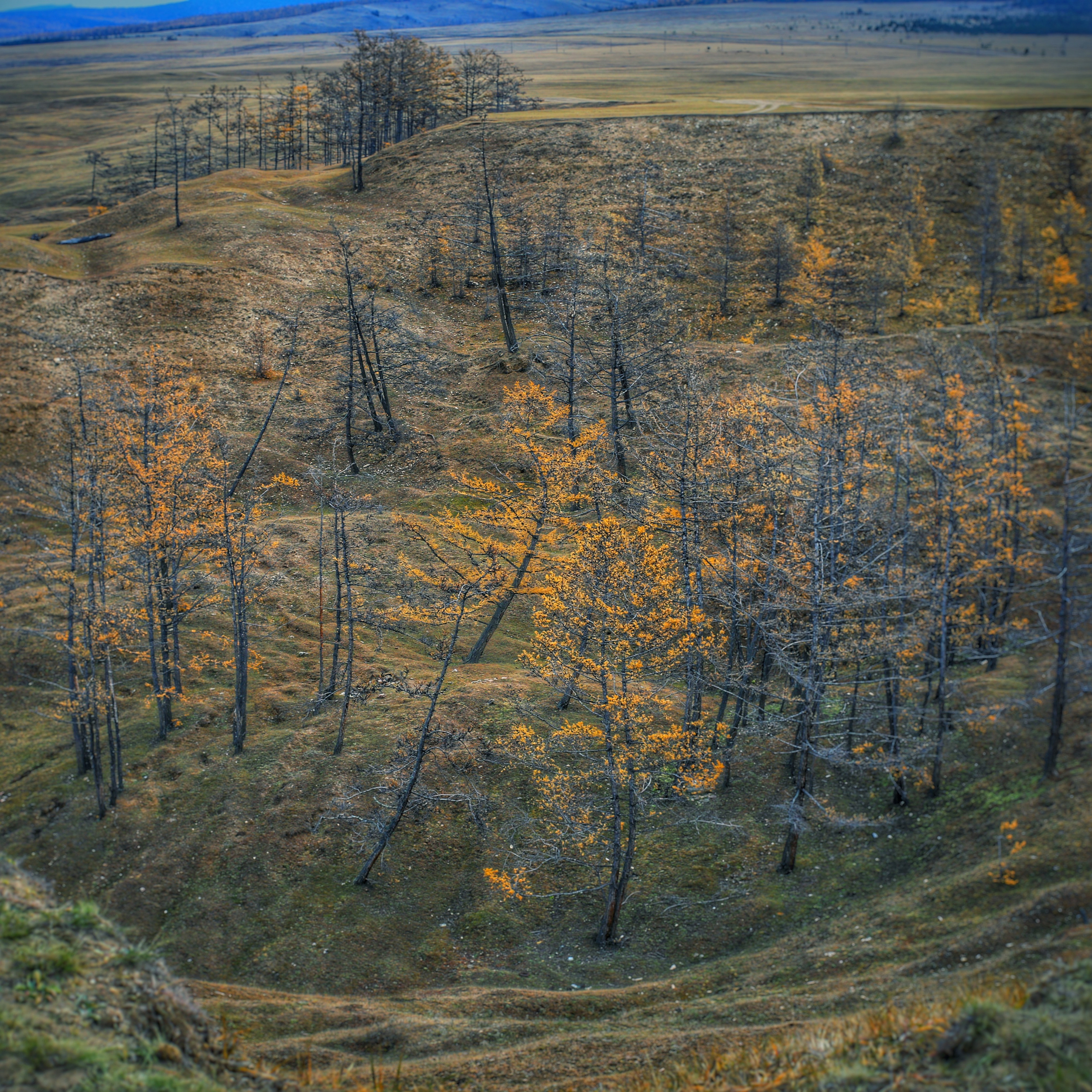 2020. Тащилин Сергей. Фотографии. Жизнь. Хобби
