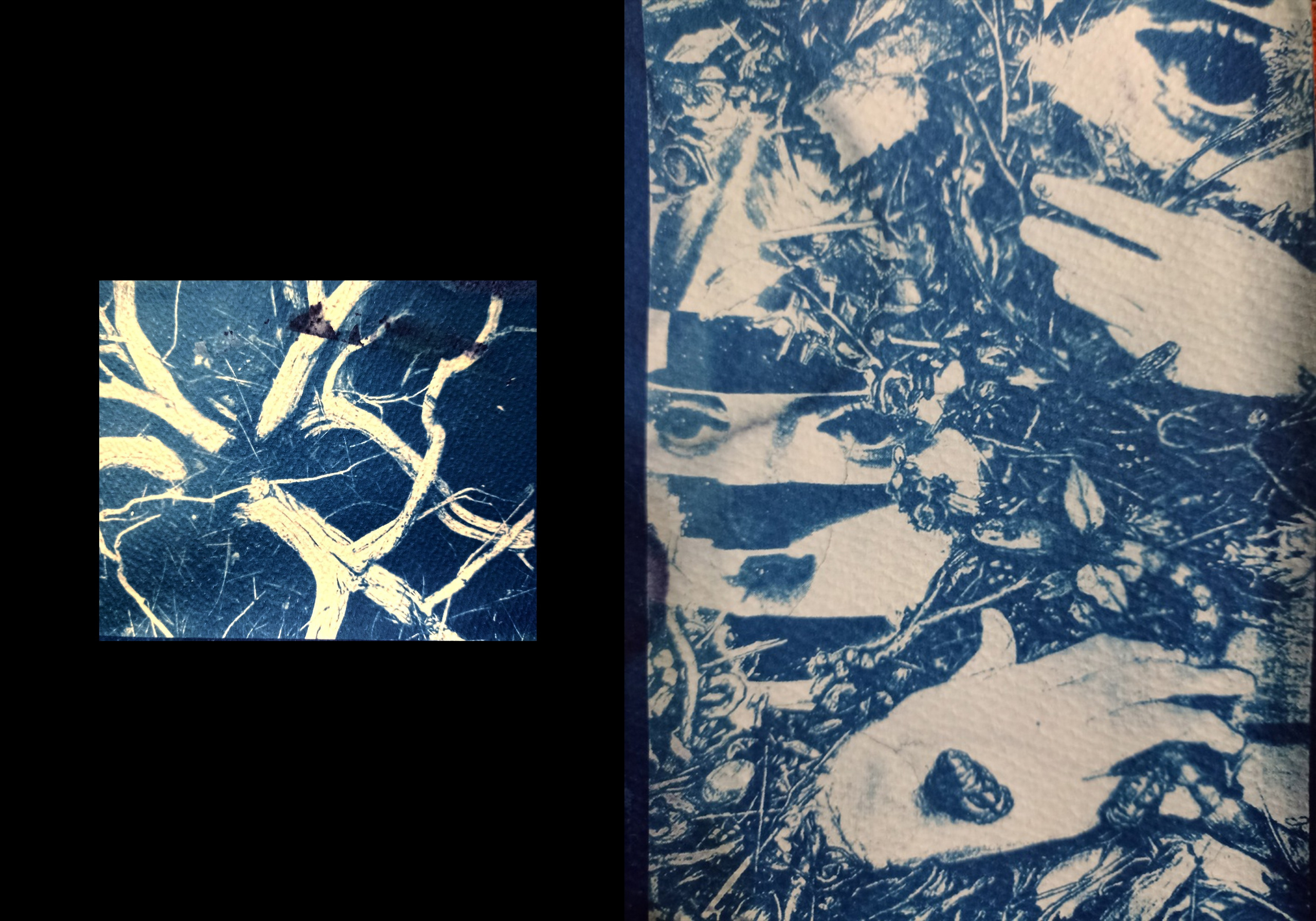 Ира Бринкус | Лес. Private image