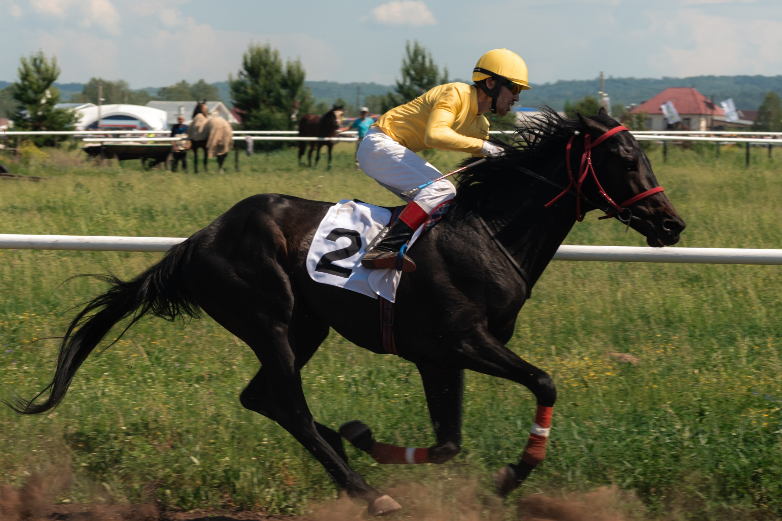 Фотографии с Всероссийских соревнований по көрәш