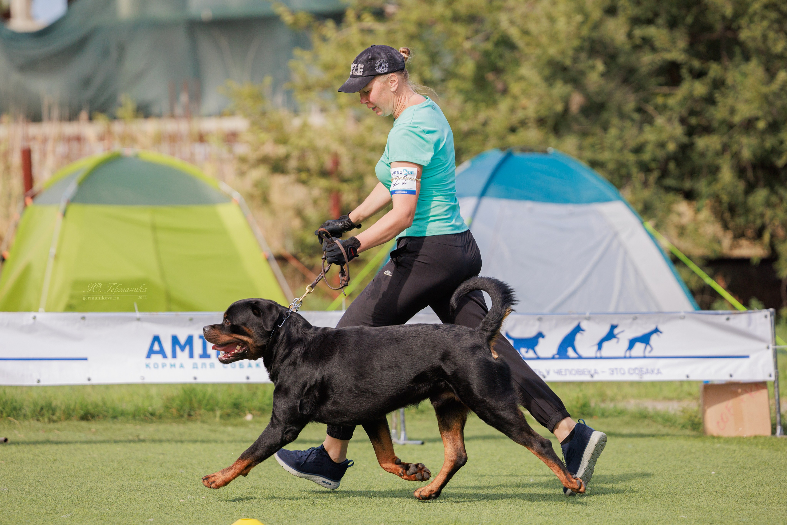 Анапа ротвейлеры 14-15.09.2024. Фотограф-анималист Юлия Германика