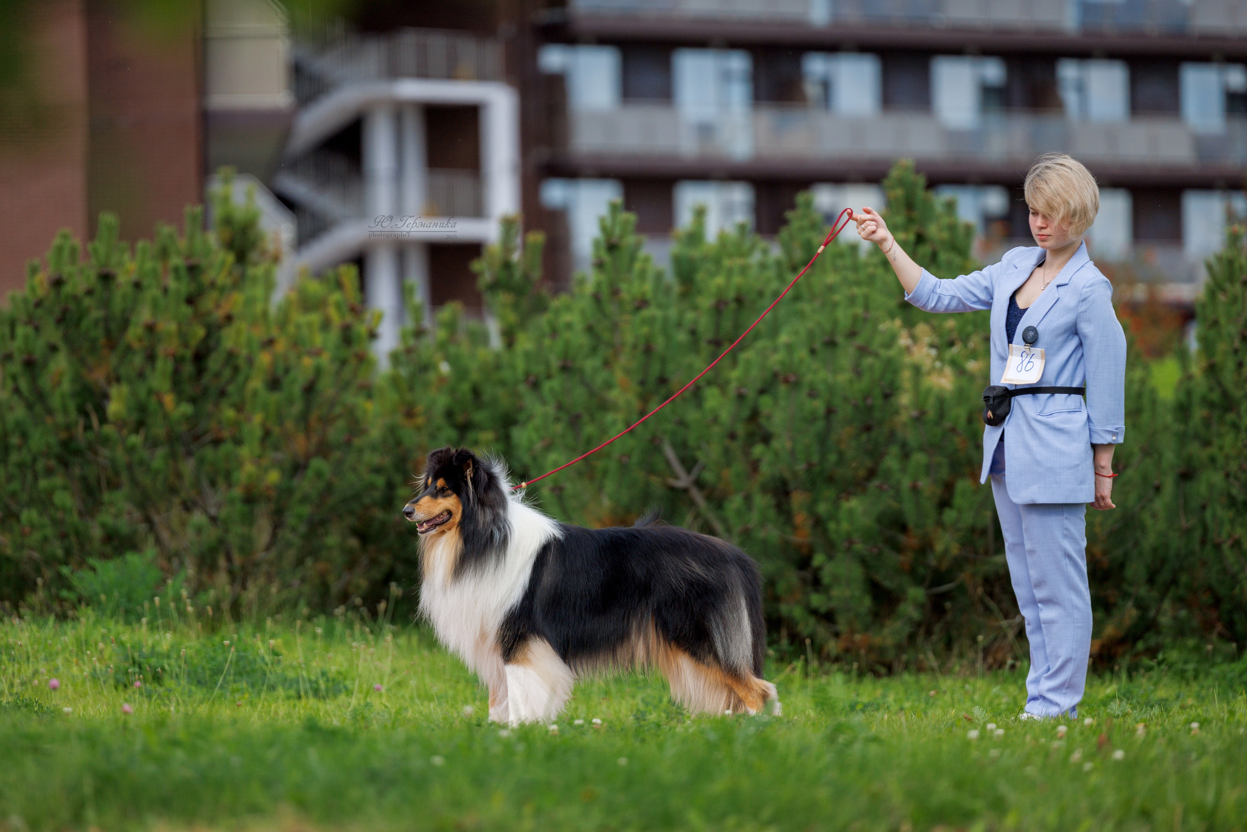 Переславль 5-7.08.2025. Фотограф-анималист Юлия Германика