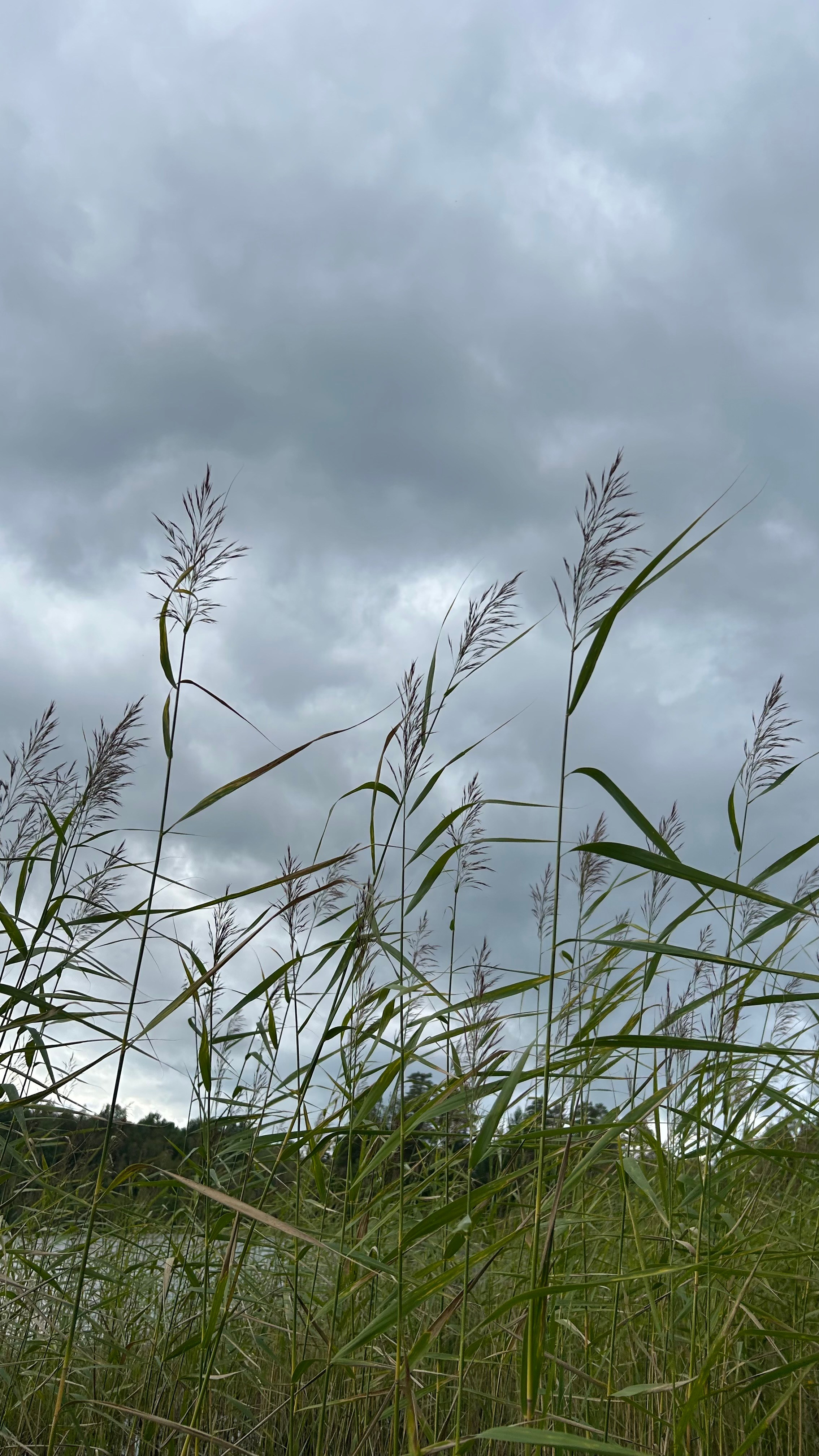 Лето, ах лето. Фотокружок «Видоискатель» ГБОУ СОШ № 291