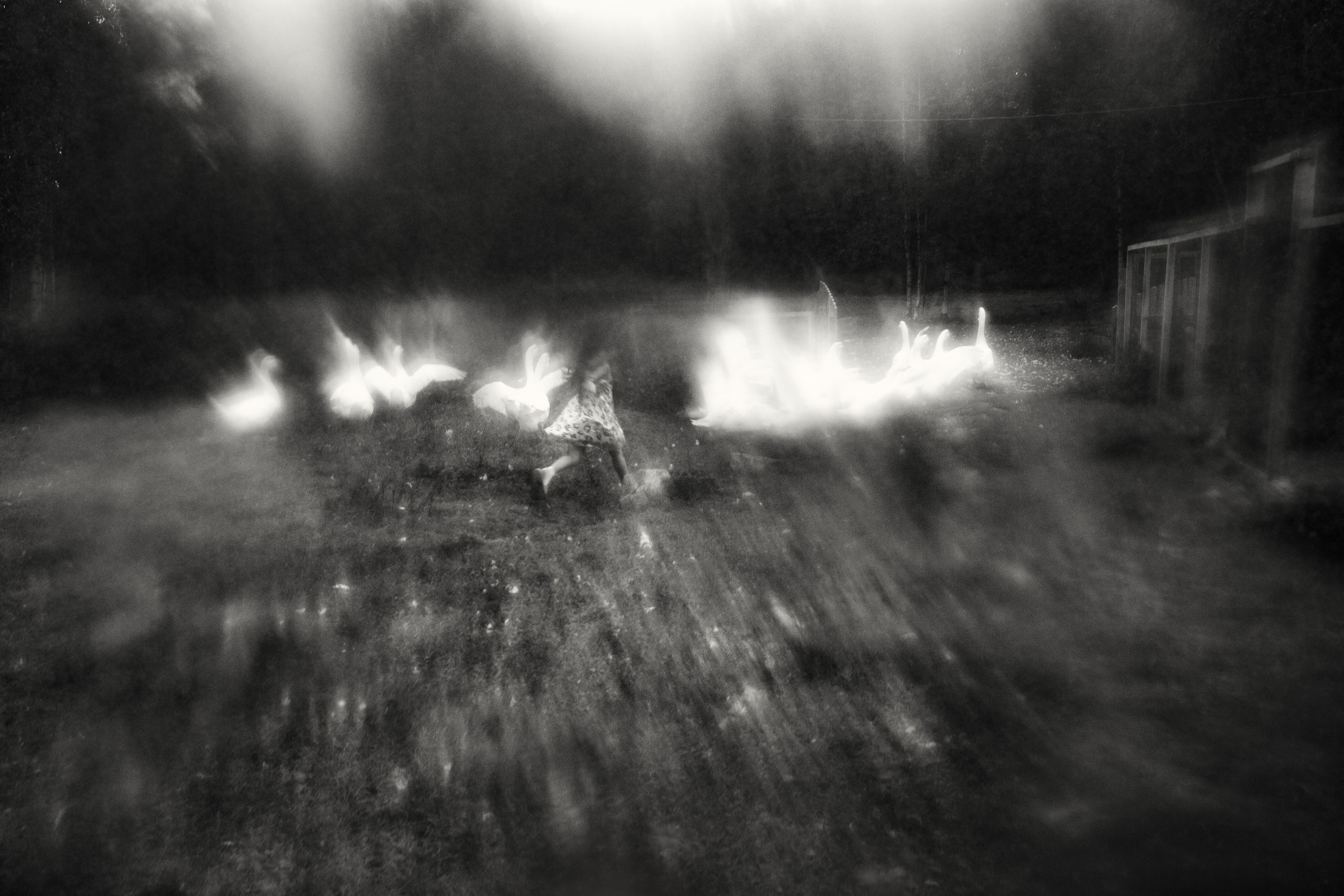 Аналоговая фотография и ручная печать. Фотохудожник Дарья Берг в Санкт-Петербурге и Москве