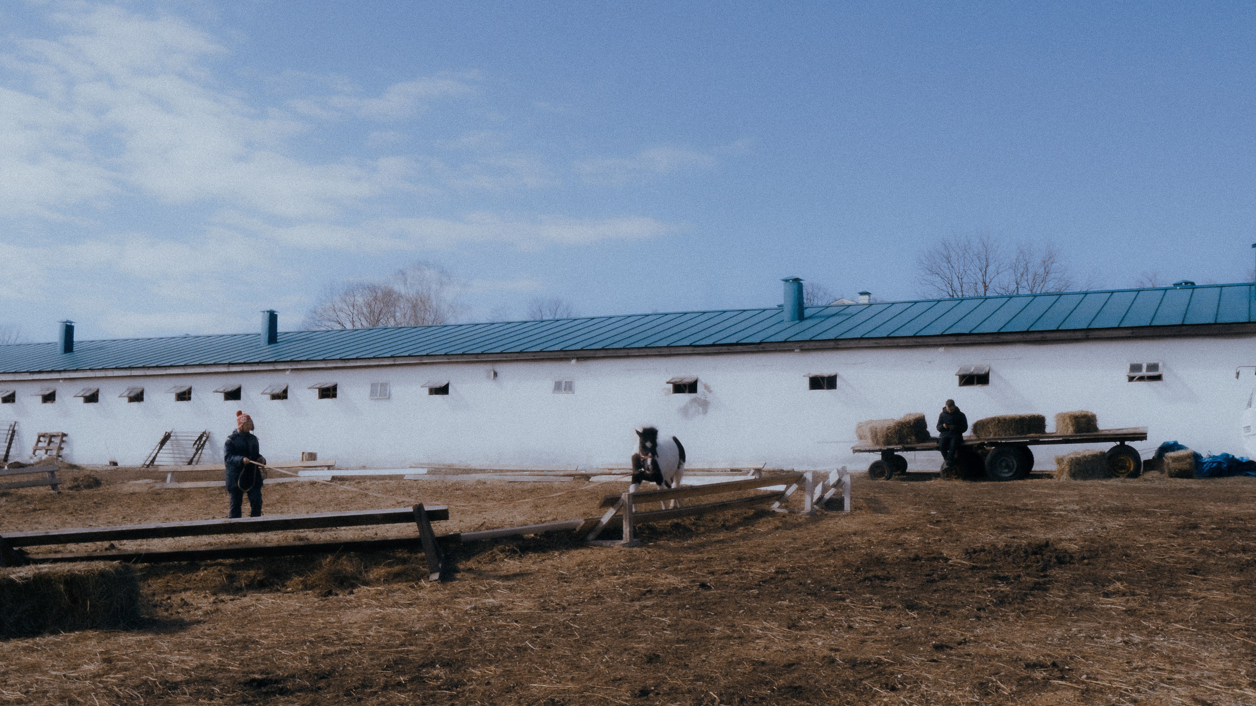 Тула '25. Фёдор Малюгин. Ваш бади в визуале