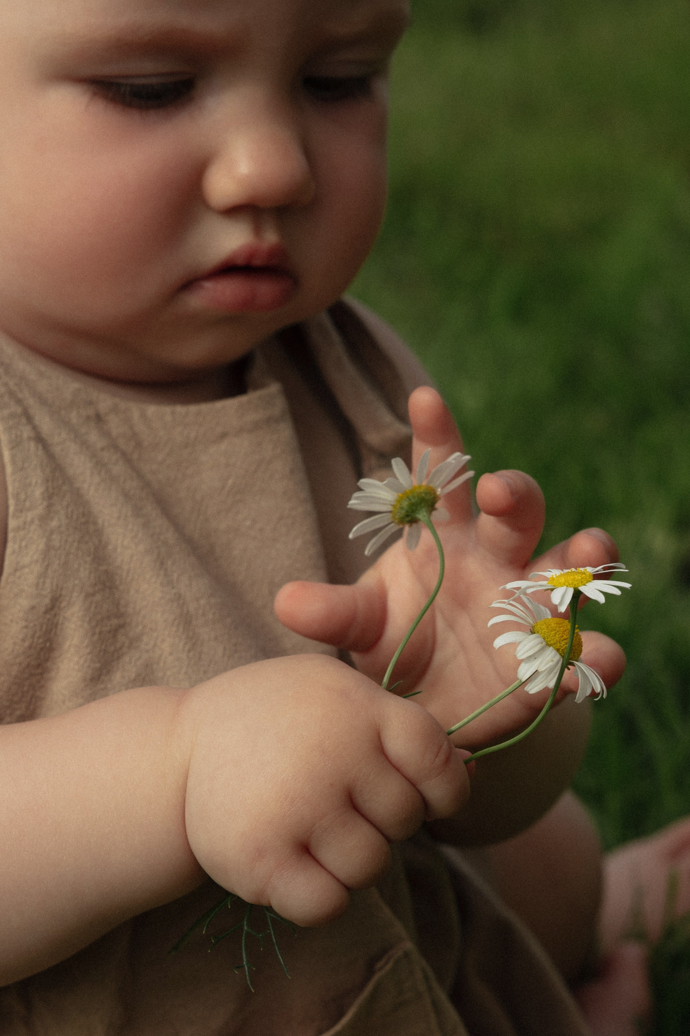 любит не любит?