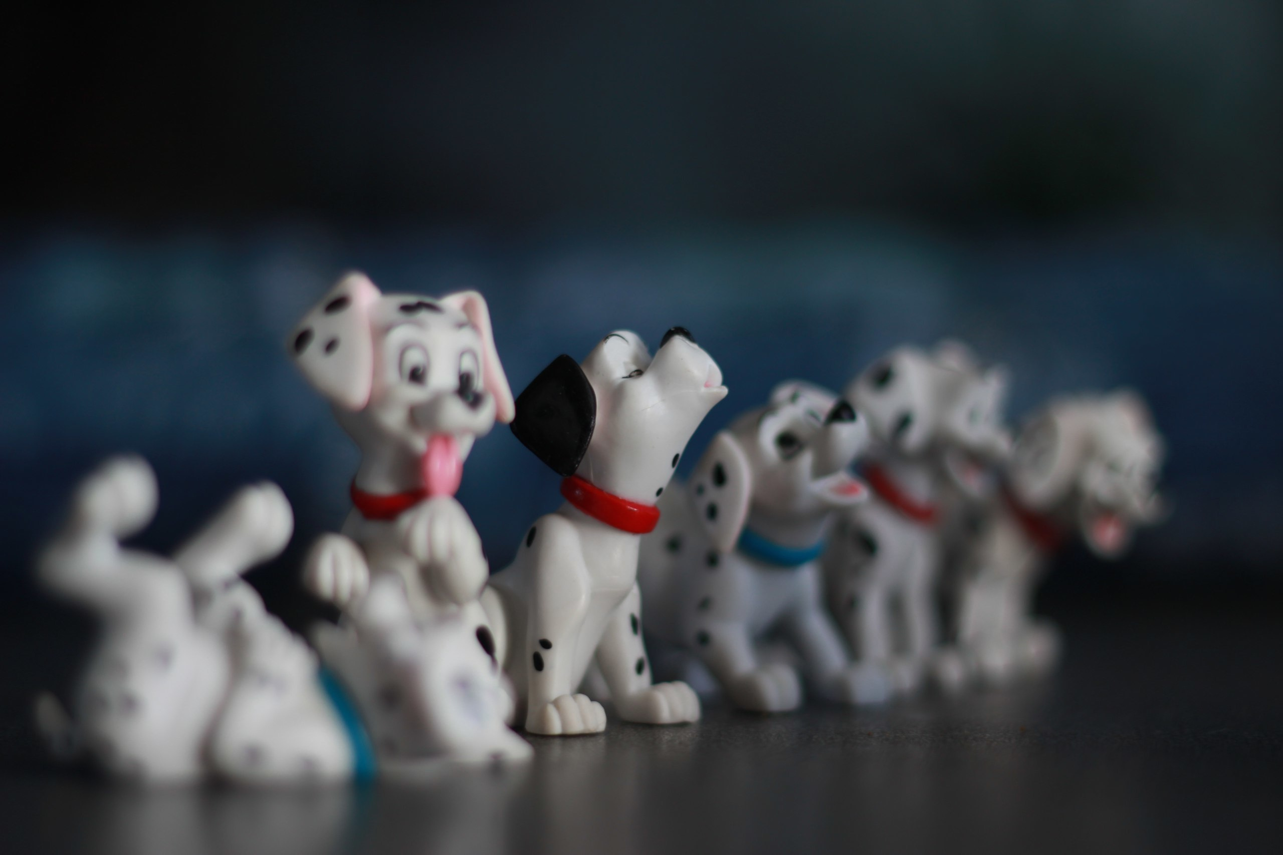 Курсы для школьников 12-17 лет. Photographer for business Mikhail Semenov. Aqua photo studio, photo school