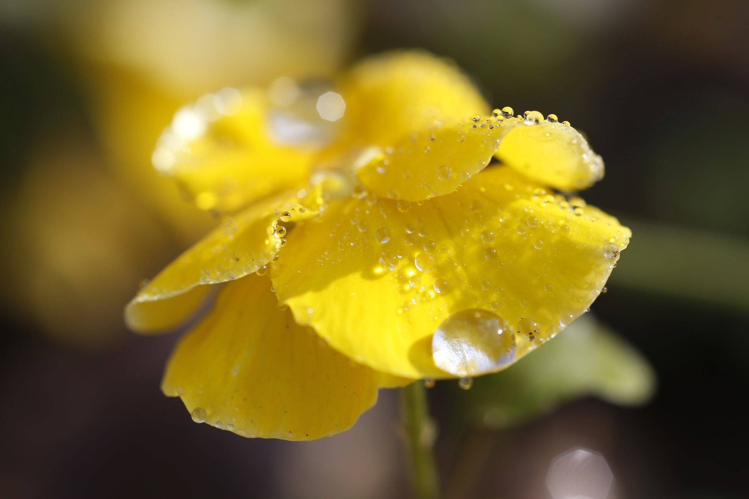 Курсы для школьников 12-17 лет. Photographer for business Mikhail Semenov. Aqua photo studio, photo school