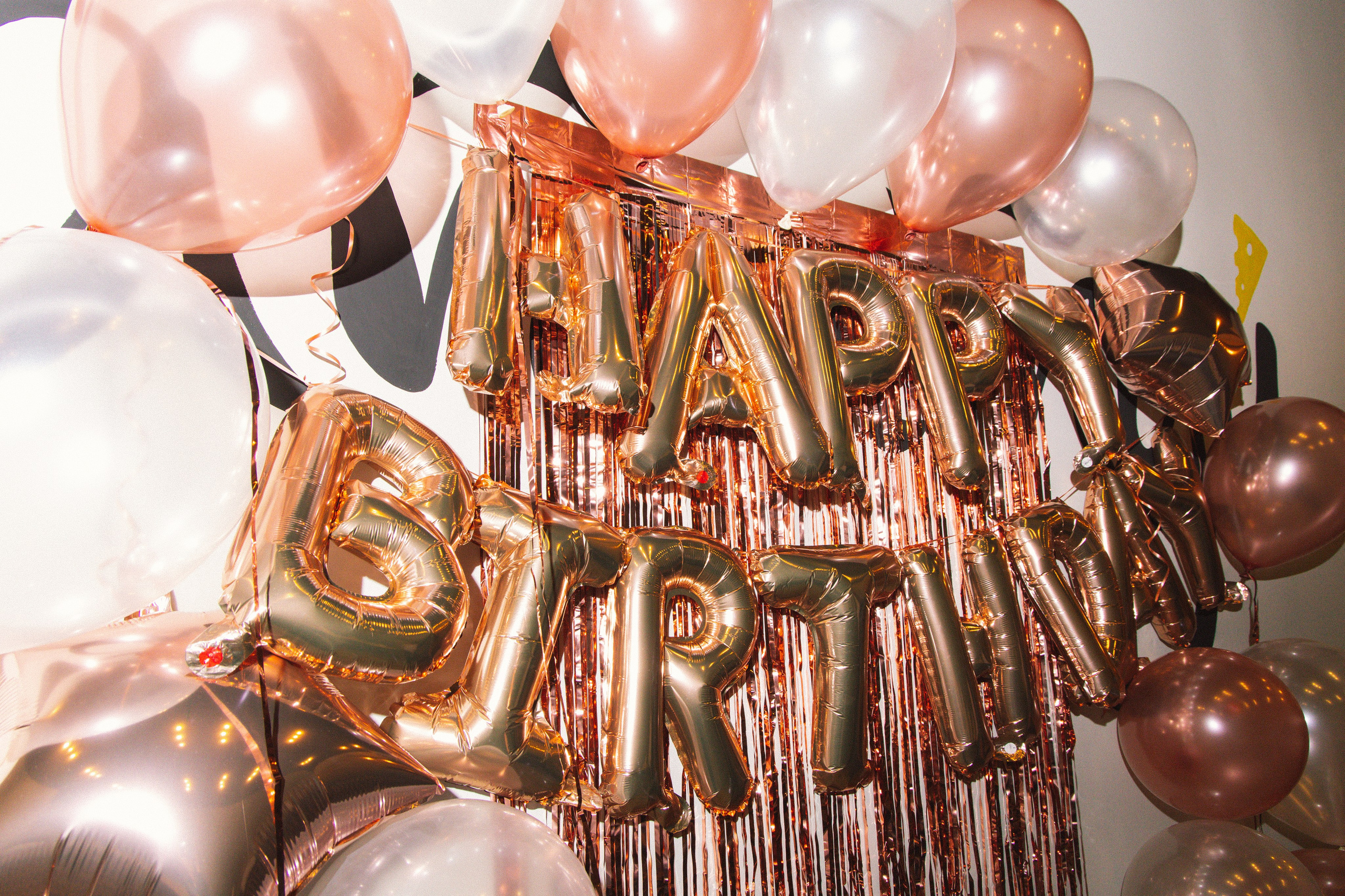 Рататуй|День рождения. Свадебный фотограф Челябинск Зиненко Виктория