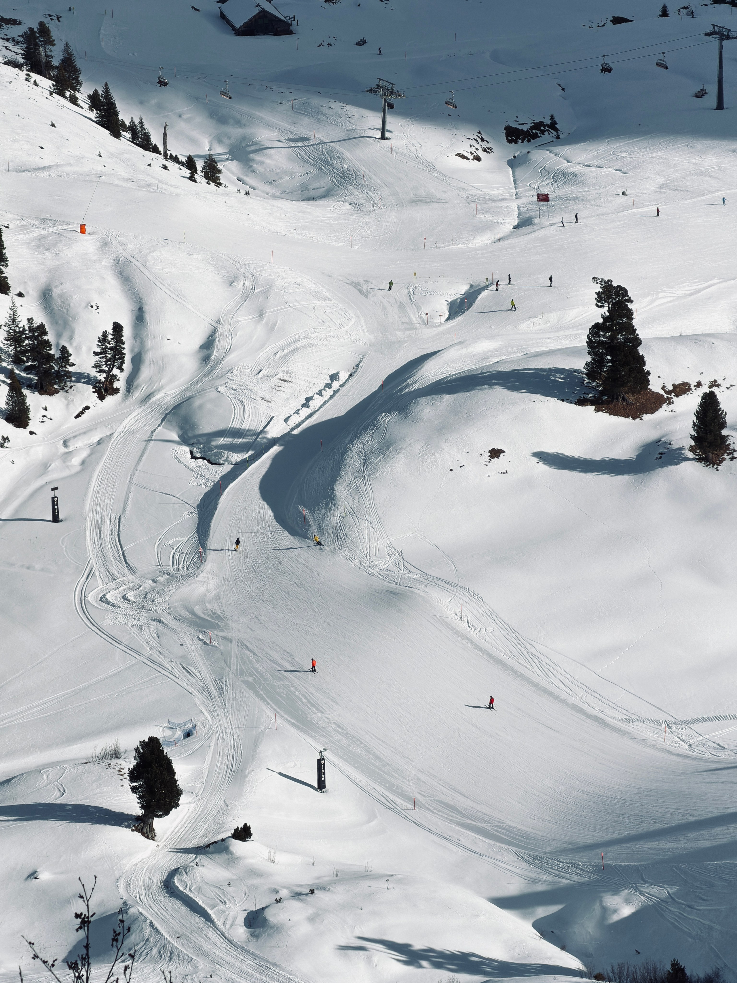 Grindelwald. Фотограф в Москве